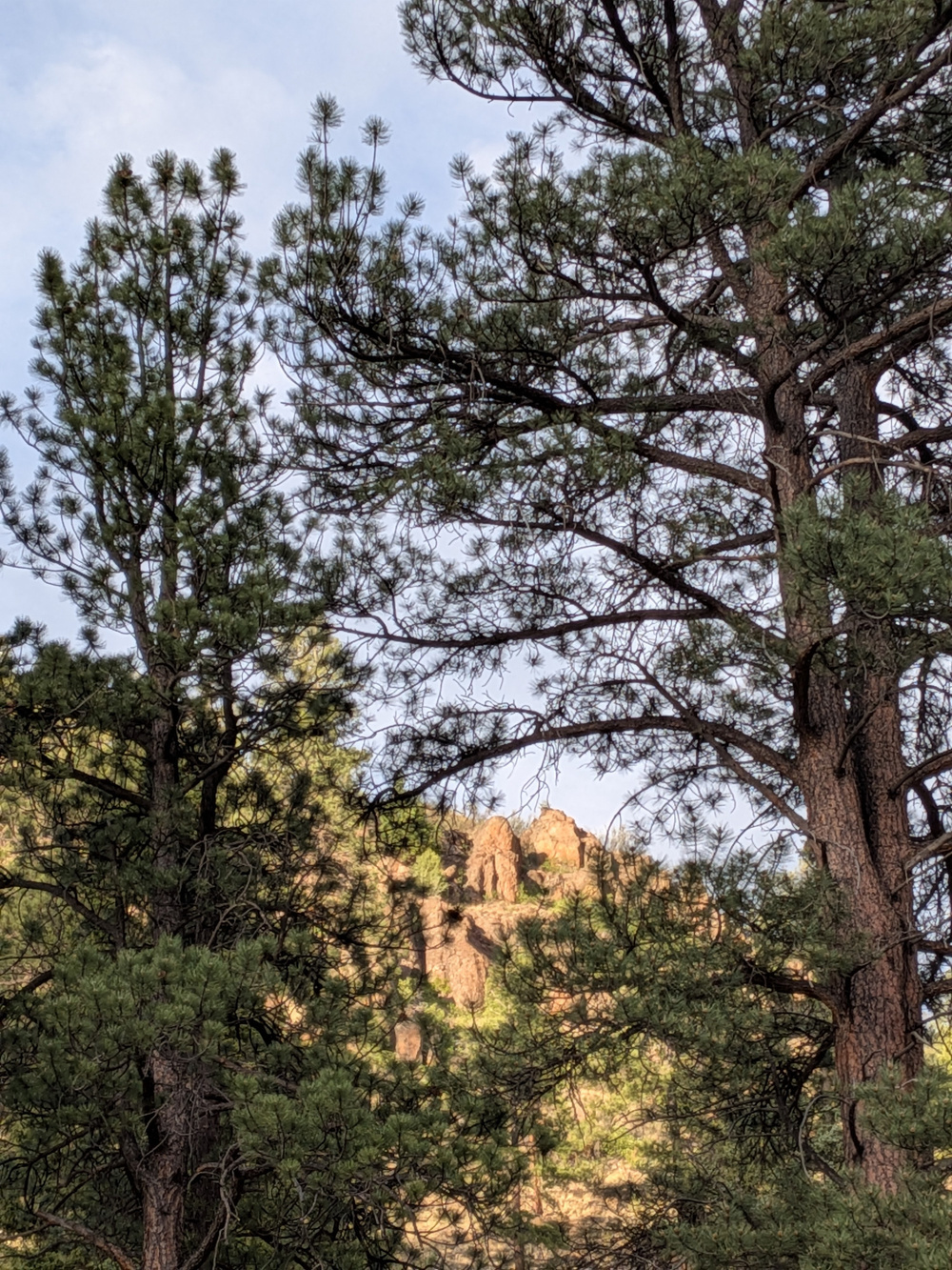 Tall pine trees frame a rocky outcrop under a clear sky.