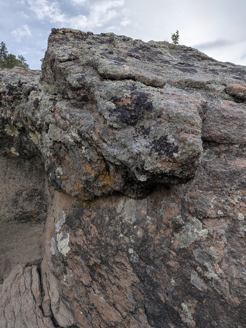 A large, weathered rock formation is covered in patches of lichen and overlooks a cloudy sky.