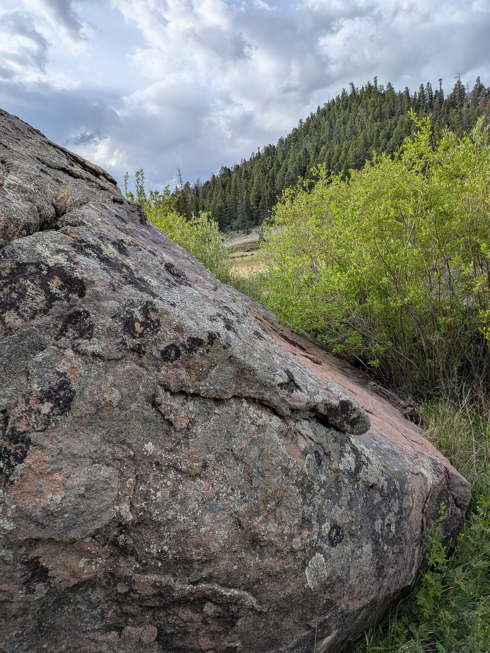 A large rock sits in the foreground with lush greenery and a tree-covered hillside under a cloudy sky in the background.