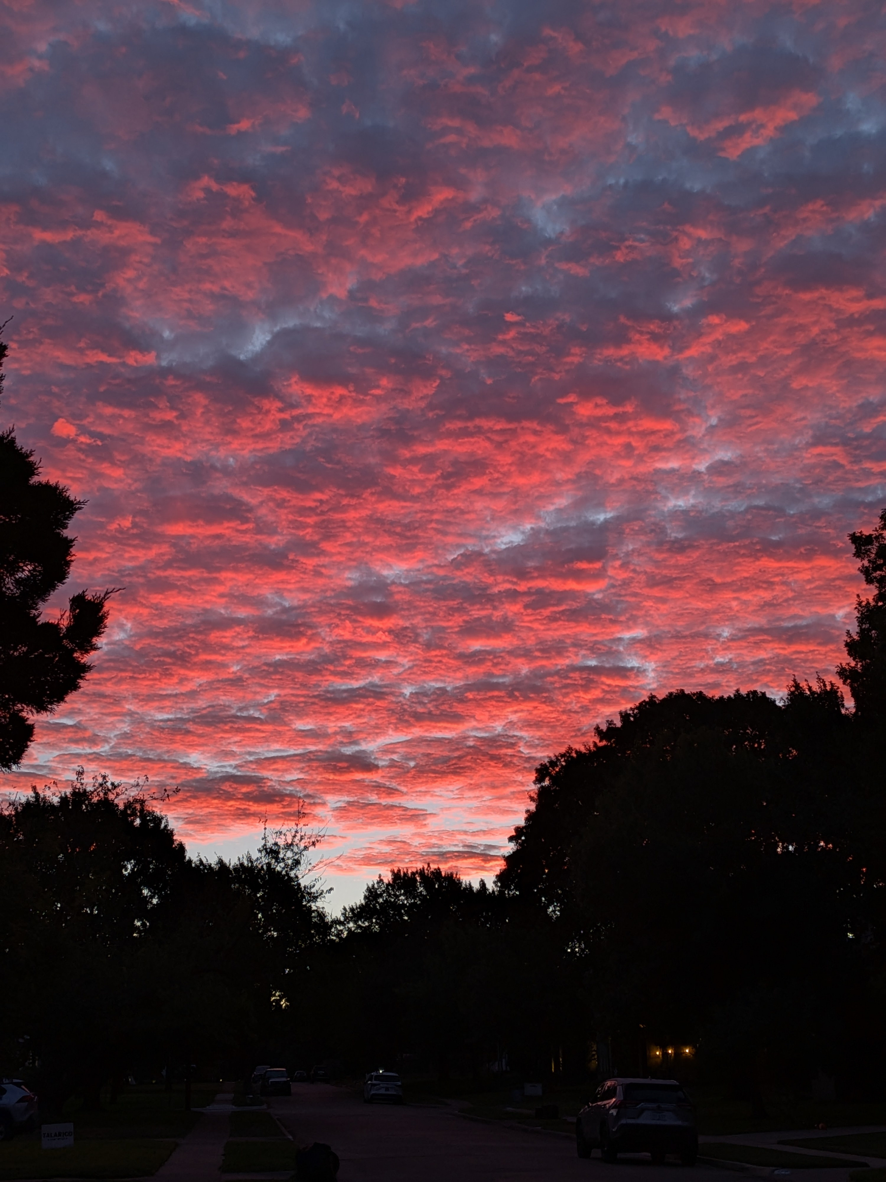 Auto-generated description: A vibrant sunrise paints the sky with shades of pink and orange above dark silhouetted trees and parked cars on a quiet street.