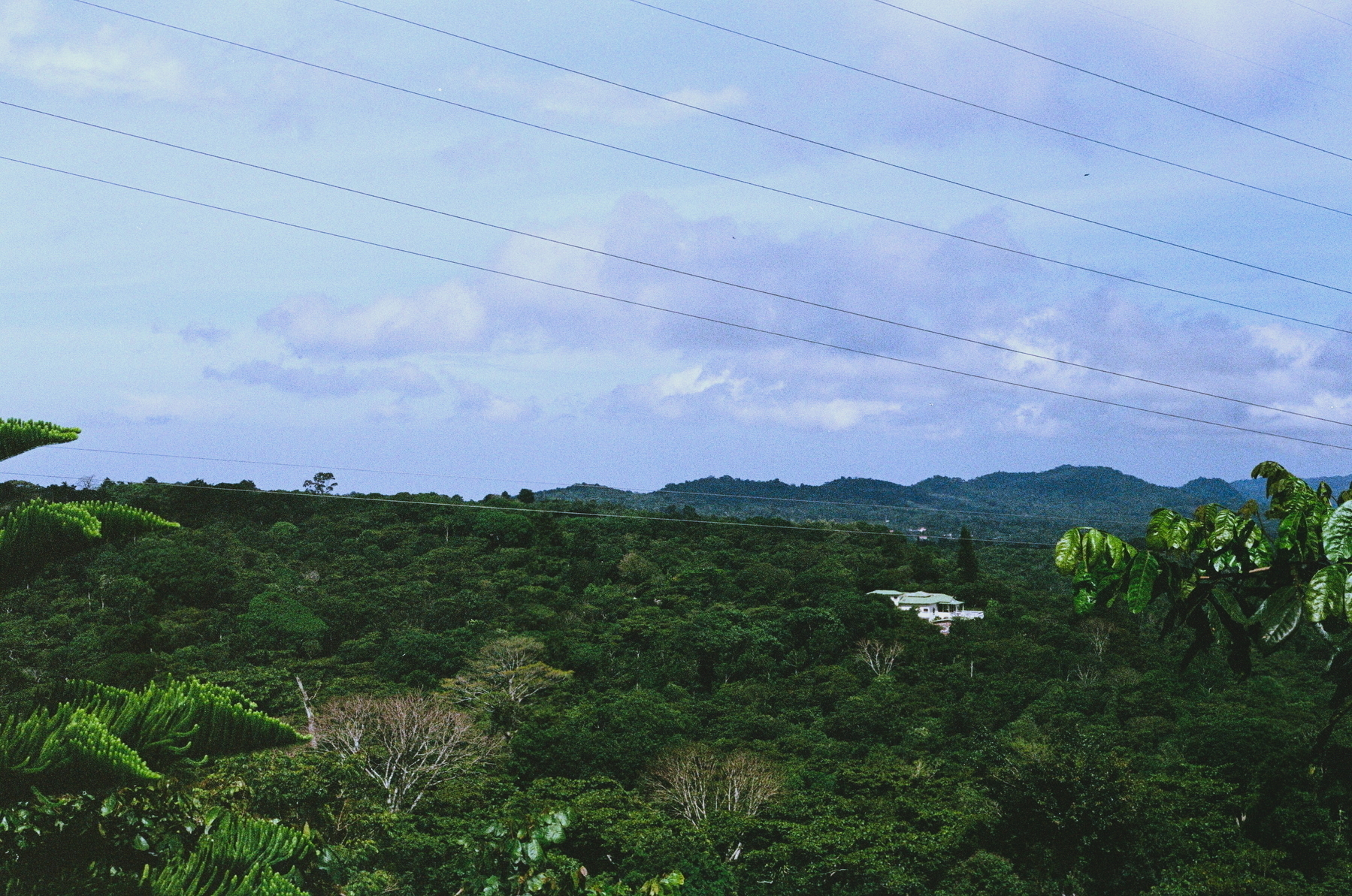 Zip lines stretch across blue skies and green vegetation in the Salvadoran countryside