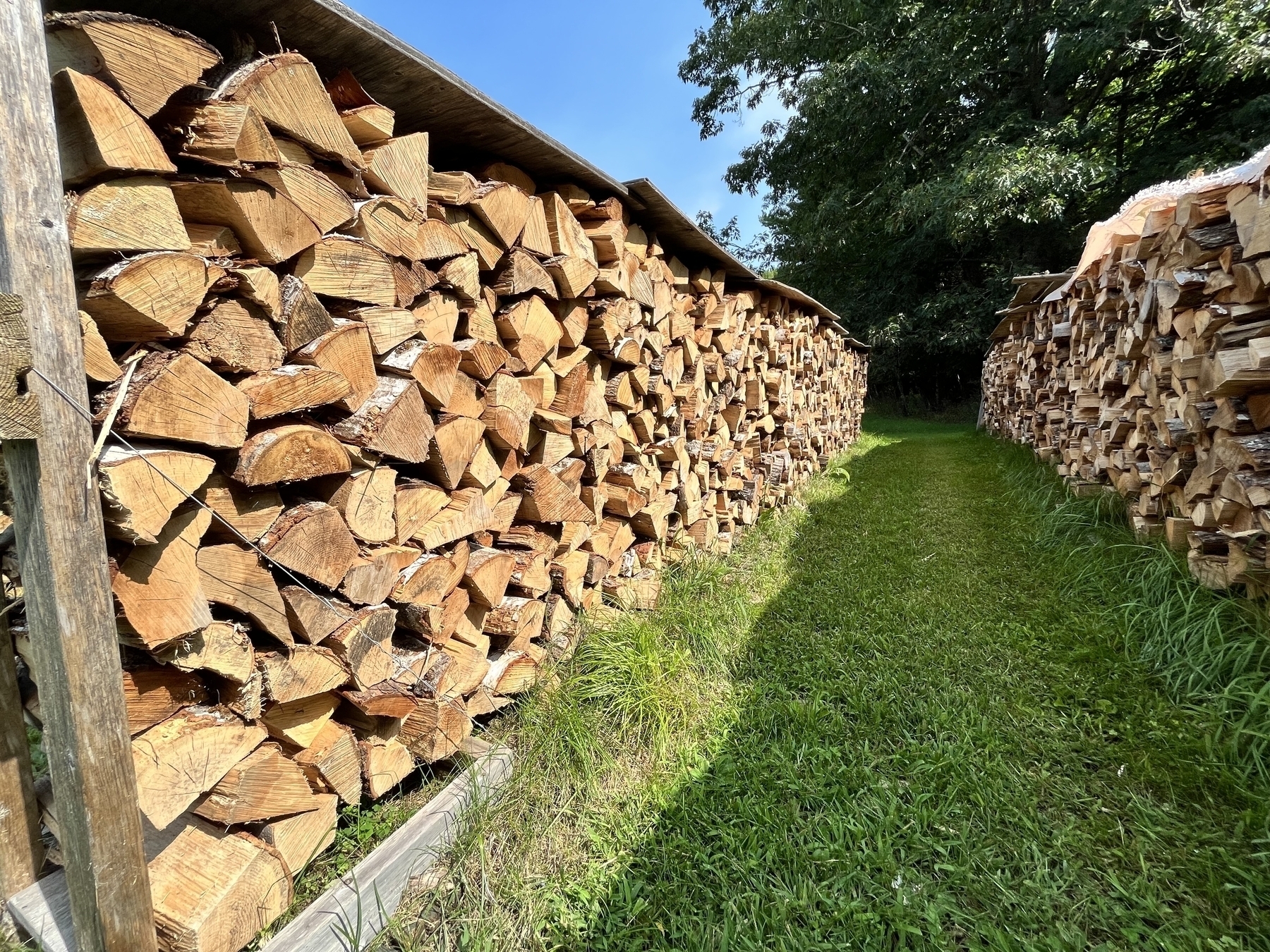 Two rows of stacked firewood