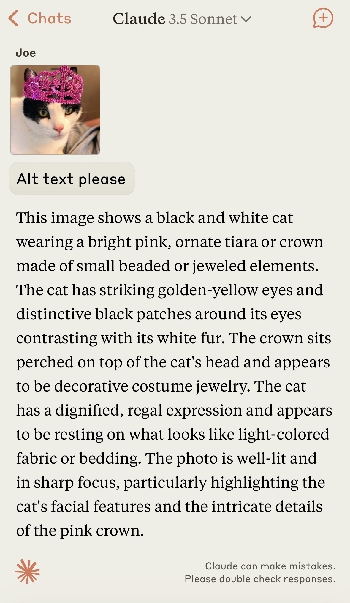 Screenshot of Anthropic's Claude showing the following alt text it generated for this cat photo: This image shows a black and white cat wearing a bright pink, ornate tiara or crown made of small beaded or jeweled elements. The cat has striking golden-yellow eyes and distinctive black patches around its eyes contrasting with its white fur. The crown sits perched on top of the cat's head and appears to be decorative costume jewelry. The cat has a dignified, regal expression and appears to be resting on what looks like light-colored fabric or bedding. The photo is well-lit and in sharp focus, particularly highlighting the cat's facial features and the intricate details of the pink crown.