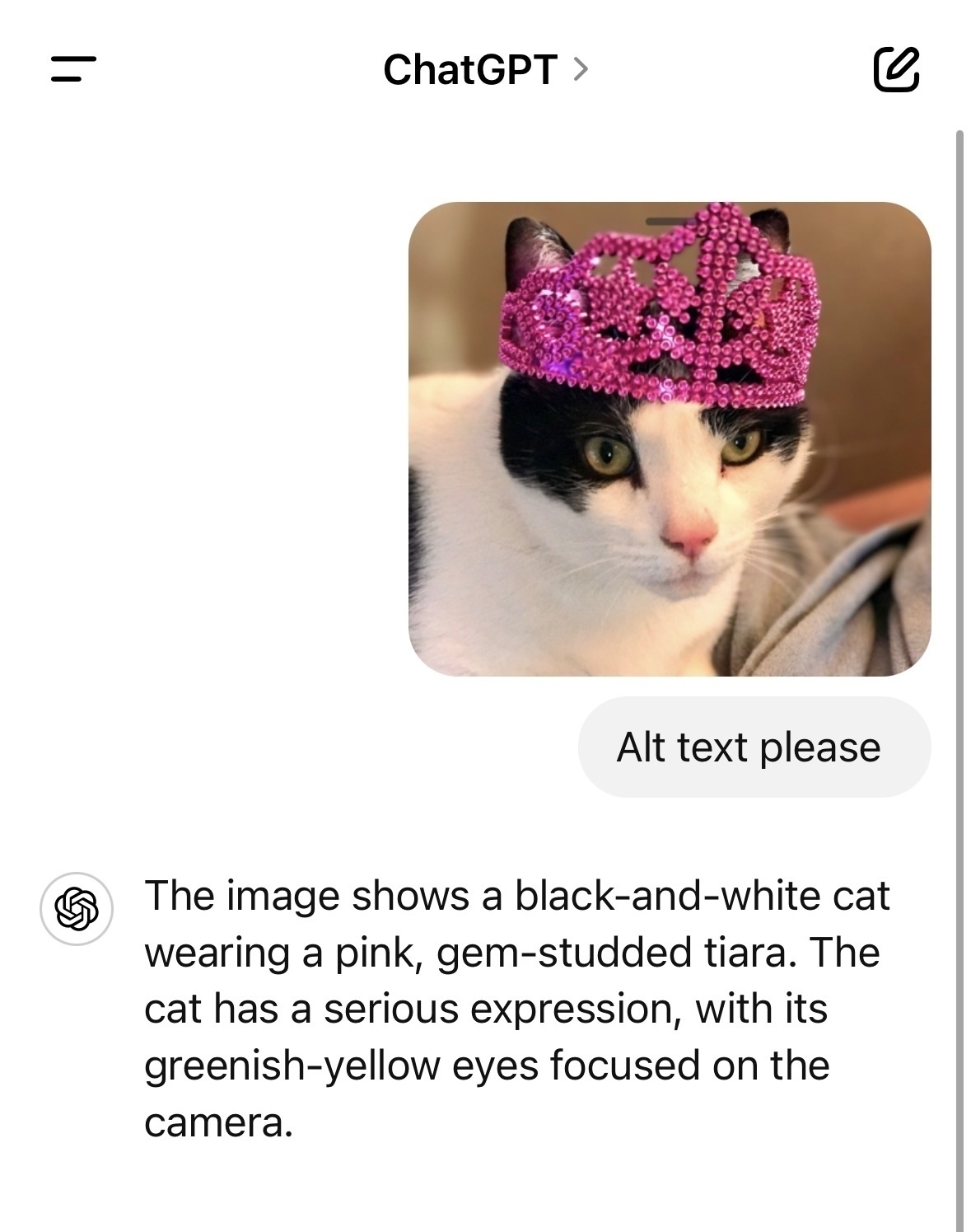 Screenshot of ChatGPT showing the following alt text it generated for this cat photo: The image shows a black-and-white cat wearing a pink, gem-studded tiara. The cat has a serious expression, with its greenish-yellow eyes focused on the camera.