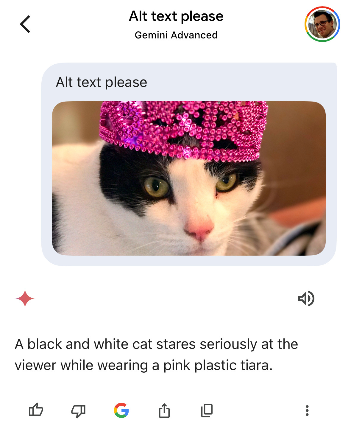 Screenshot of Google Gemini showing the following alt text it generated for this cat photo: A black and white cat stares seriously at the viewer while wearing a pink plastic tiara.