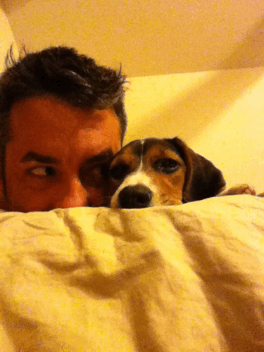 A Beagle Puppy and Her Human Acting Silly