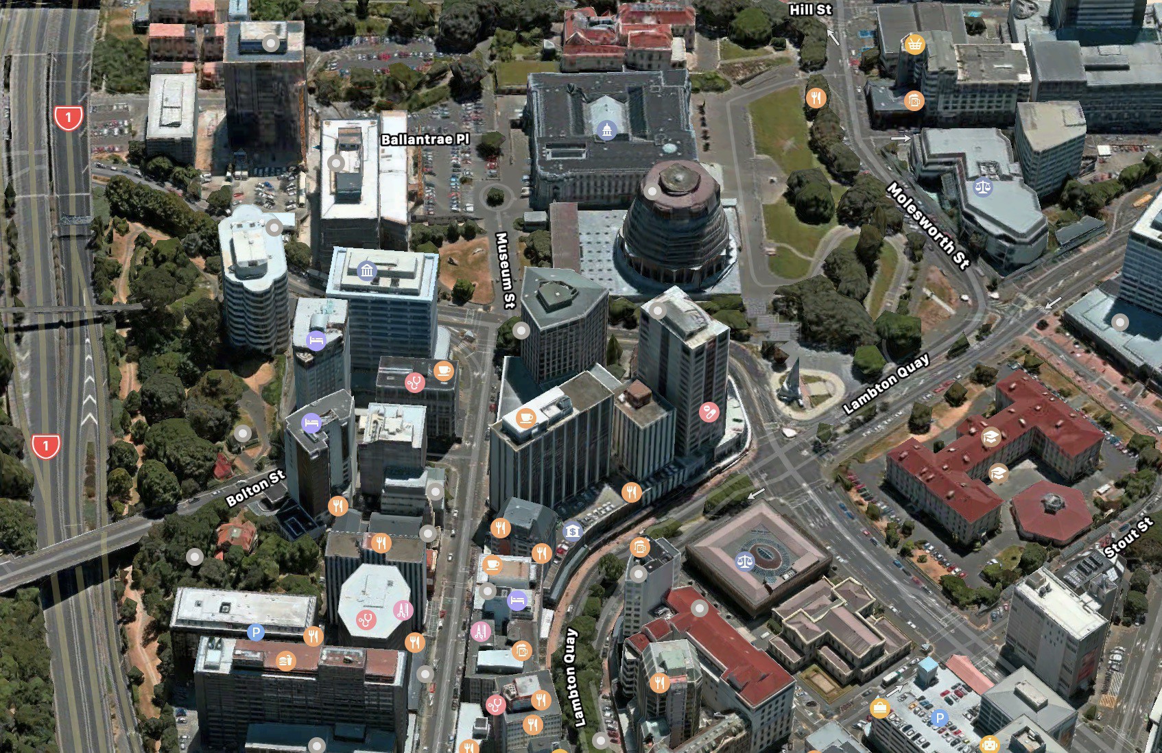 3D satellite view of Wellington in Apple Maps in MacOS. It looks bright and high-res.