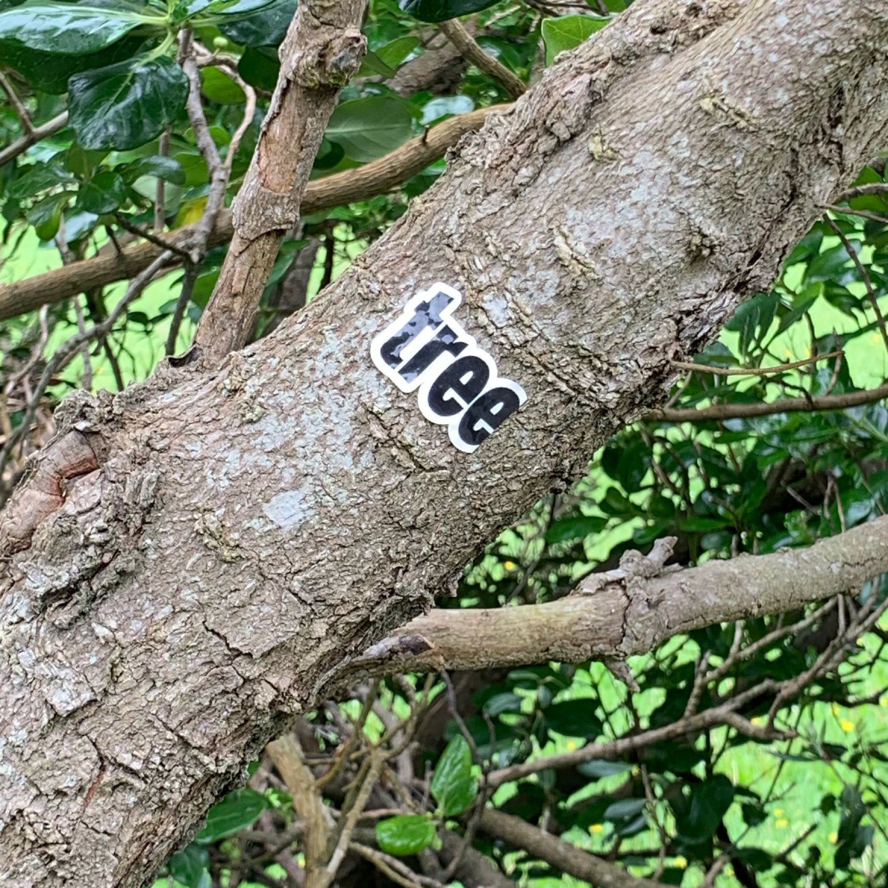 A tree brach with a sticker on it that says tree