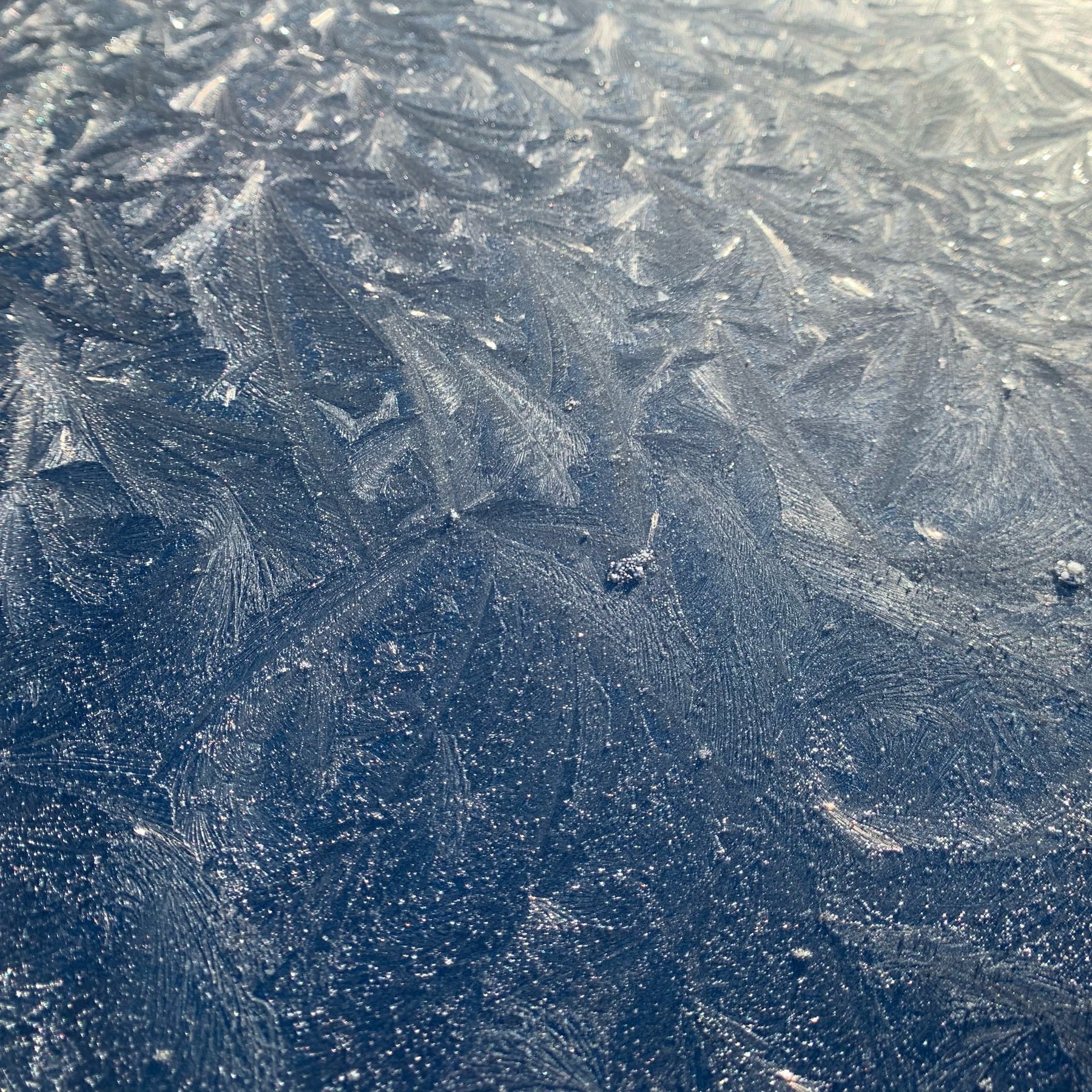 A pattern of frost on the car this morning