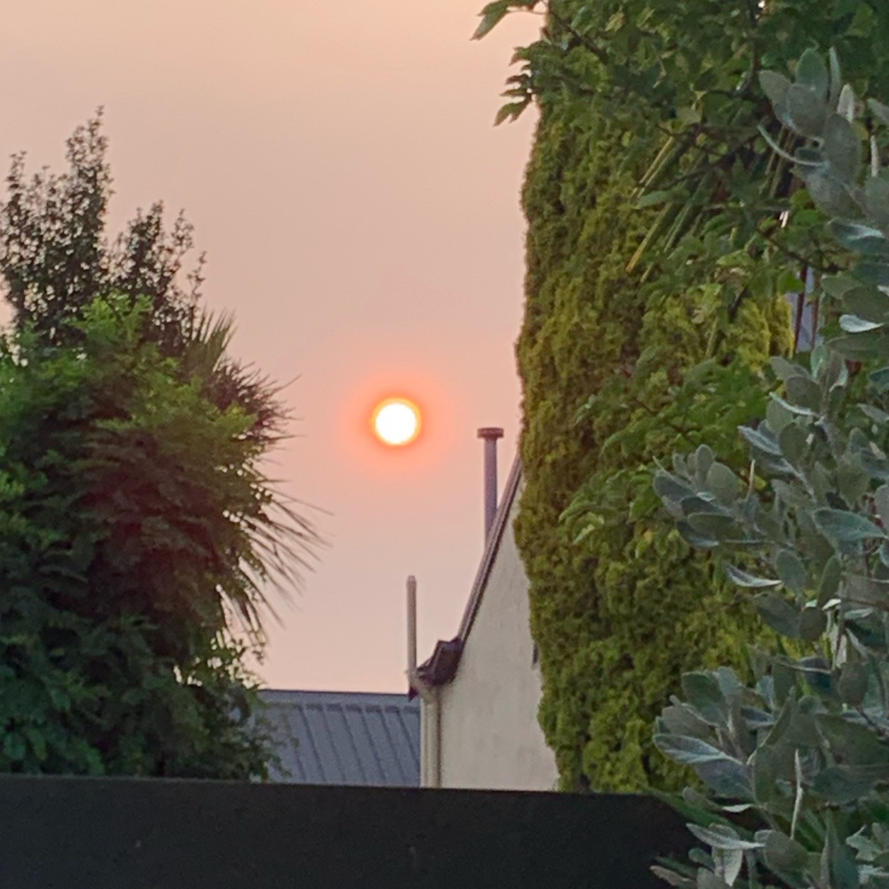 The sun, about an hour before setting, loking extremely orange/red thanks to particles of ash 