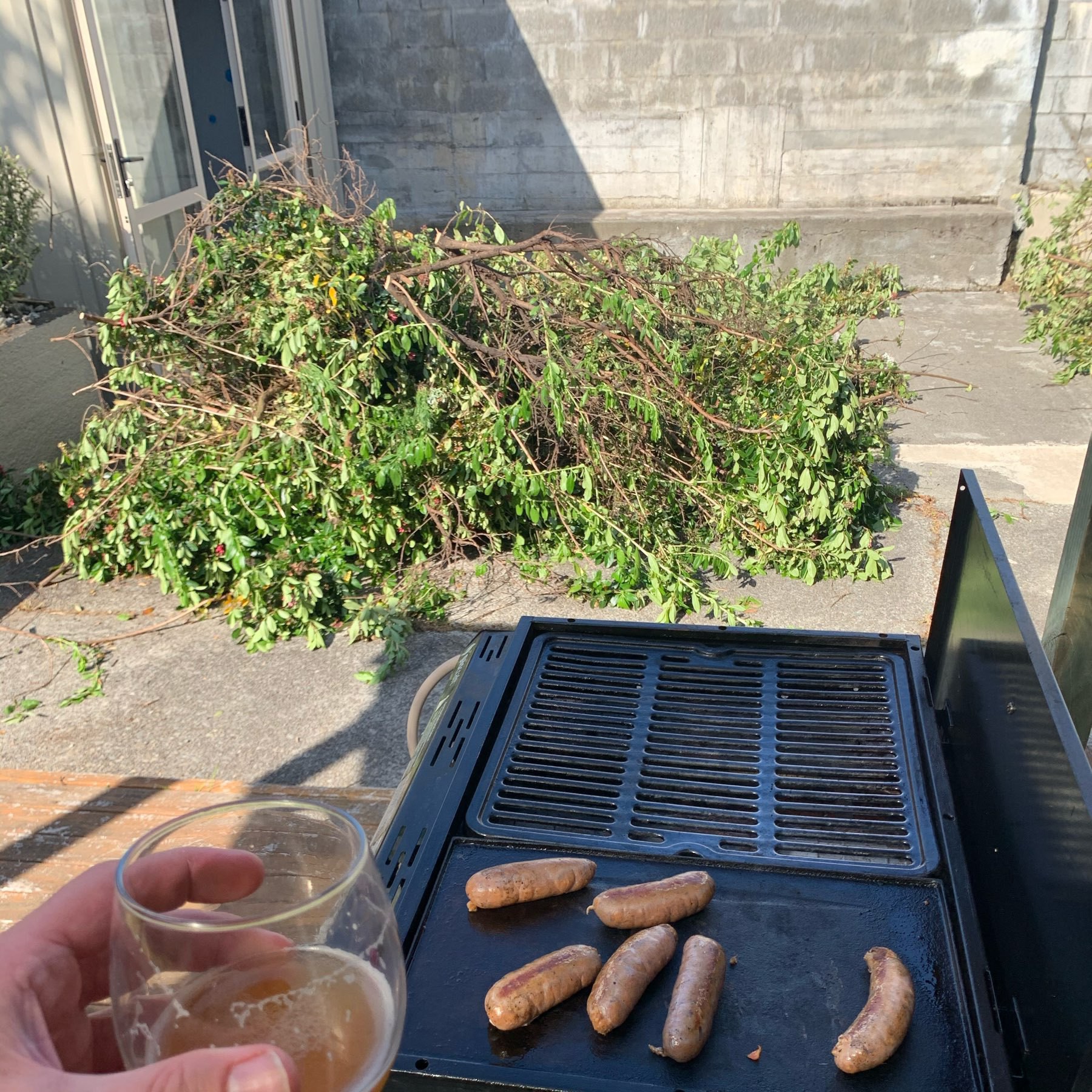 me hold a beer in front of sausages cooking on a barbeque. i. the background is a big pile of tree branches I cut through