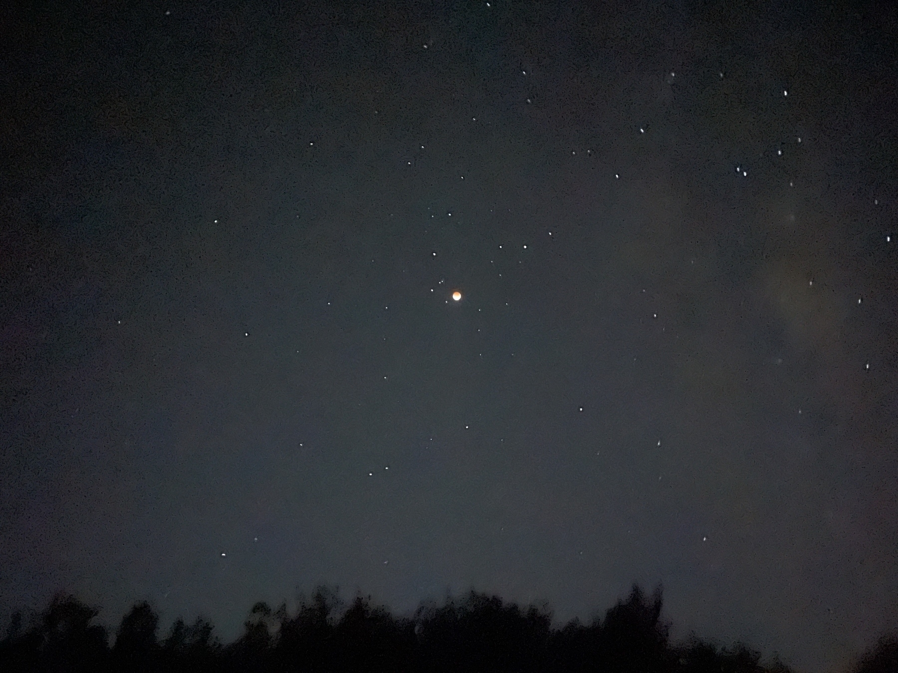 A night time 3 second shutter shot from my iphone of the May 2021 lunar eclipse from Wellington Aotearoa