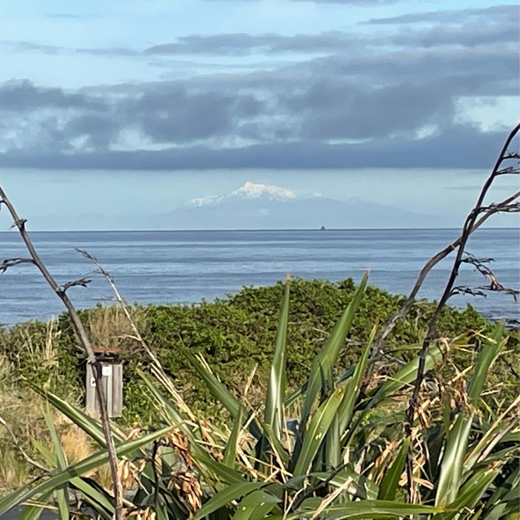 Mount Tapuaenuku, capped with snow, in the Kaikoura ranges of the South Island, as seen from the south coast of Wellington in the North Island today. 