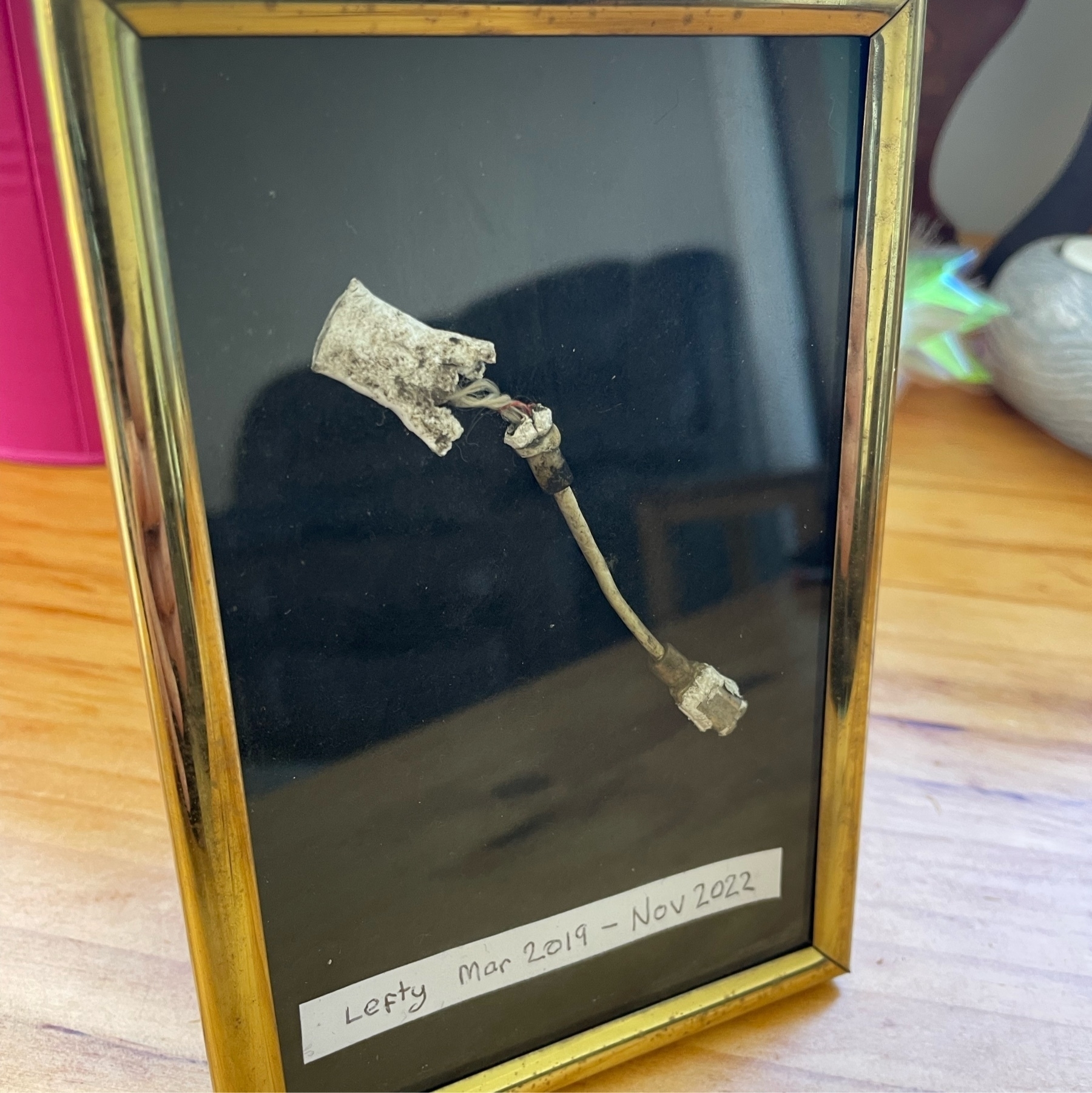My crished Airpod Lefty. Set in a small, gold trimmed, black velvet backed picture frame. A small note at the bottom reads "Lefty Mar 2019 – Nov 2022"