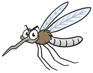 Colin The Mosquito