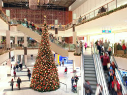 Christmas Shopping in Shopping Mall