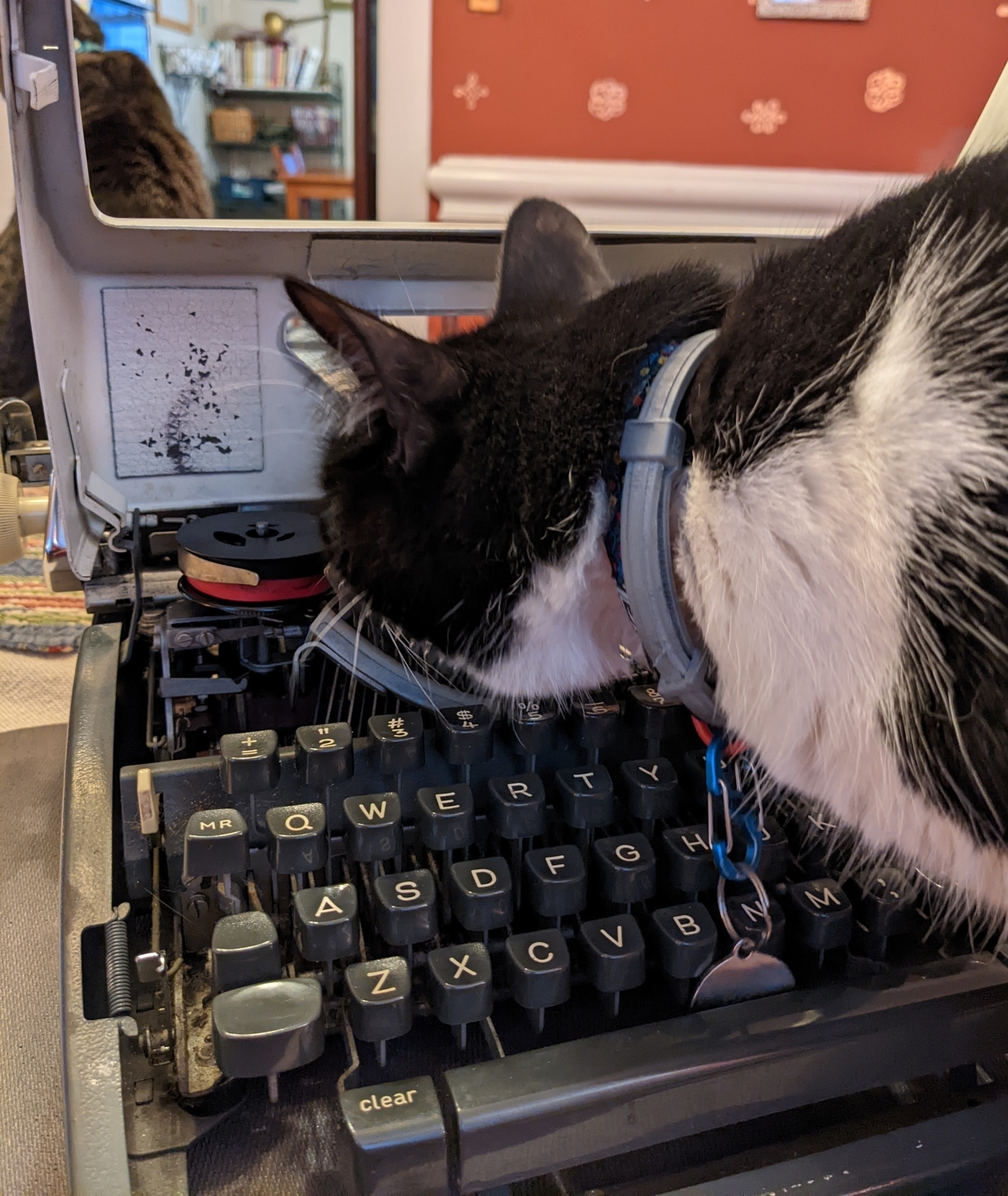 the typewriter lid is up and one cat has pushed her face under the lid to sniff the new typewriter ribbon