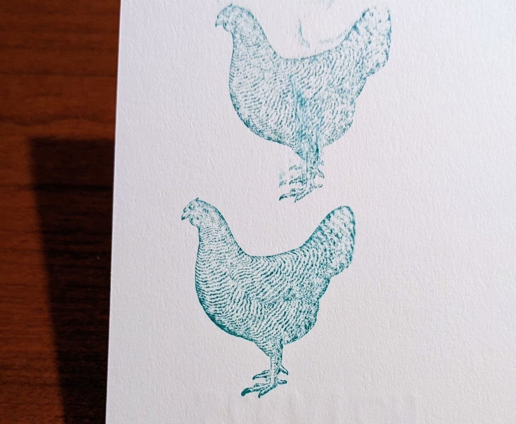 two stamped images of a detailed drawing of a hen with barred feathers