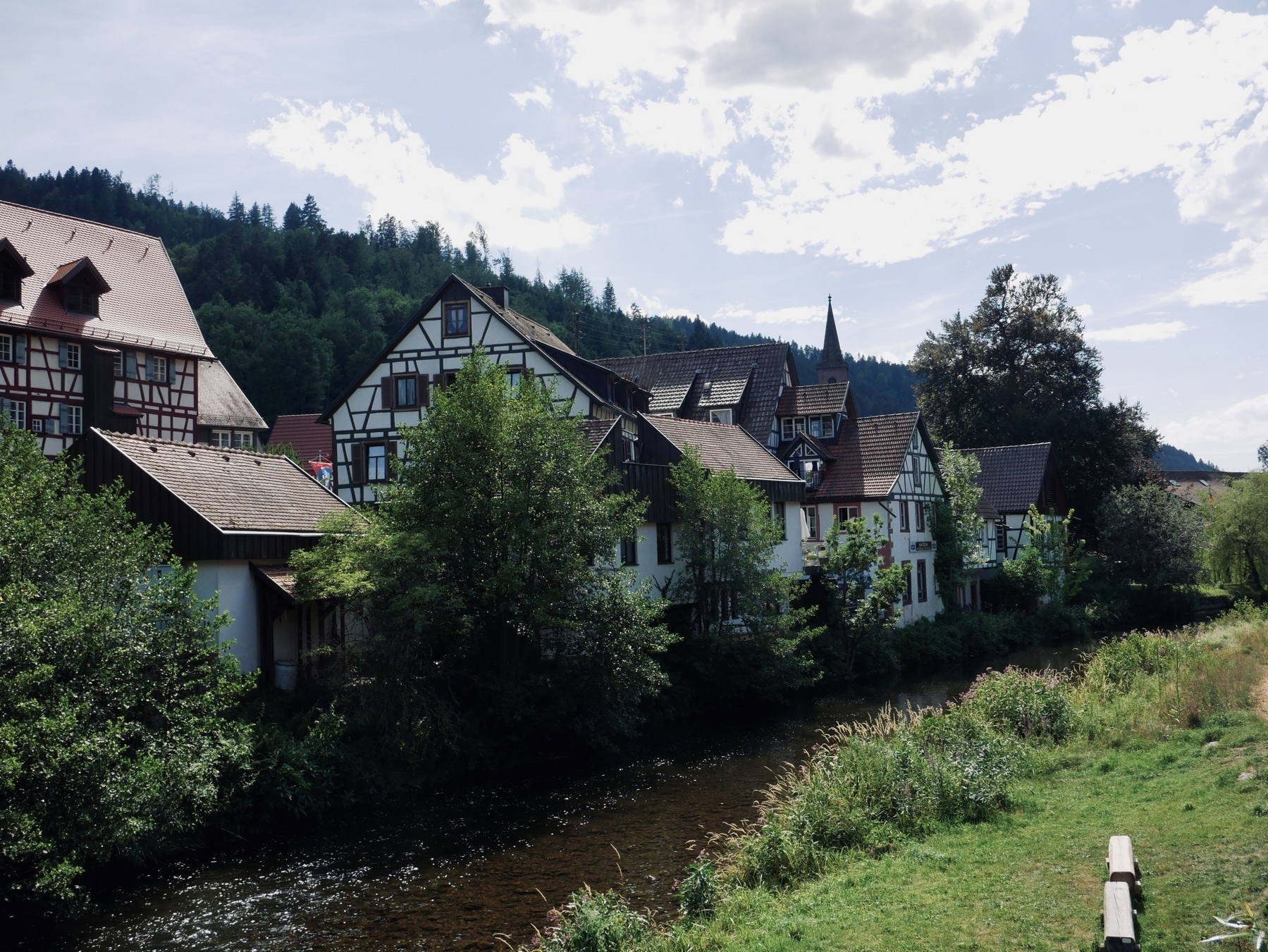 Houses in Schiltach