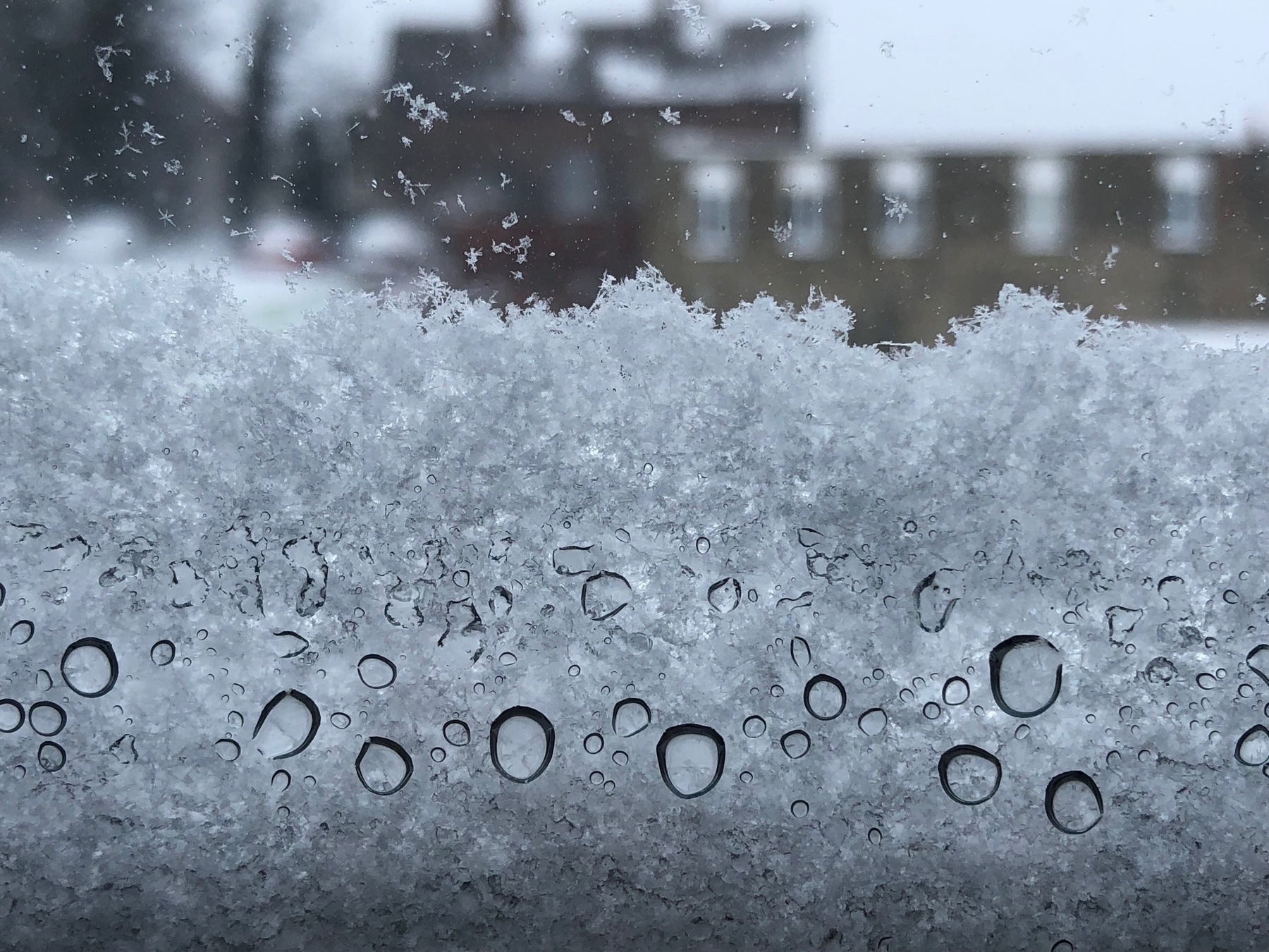 Snow on the window