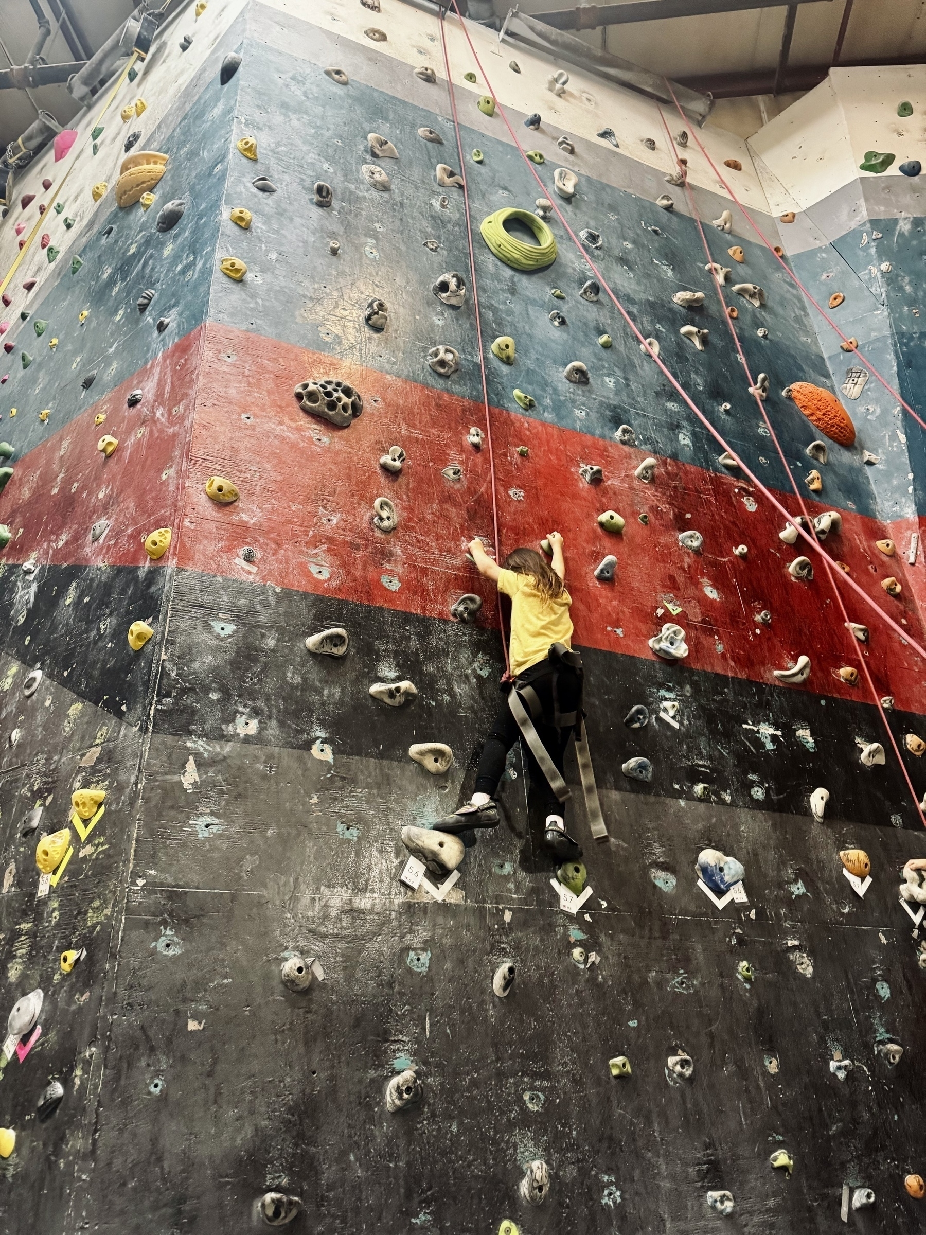A person wearing a yellow top is climbing an indoor rock wall with various colored holds and routes.
