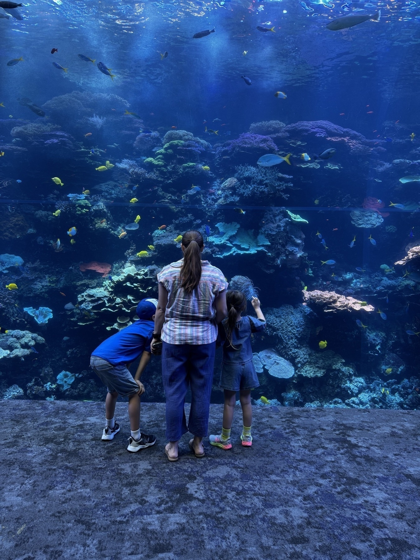 A woman and two children are standing in front of a large aquarium, observing various fish and coral.