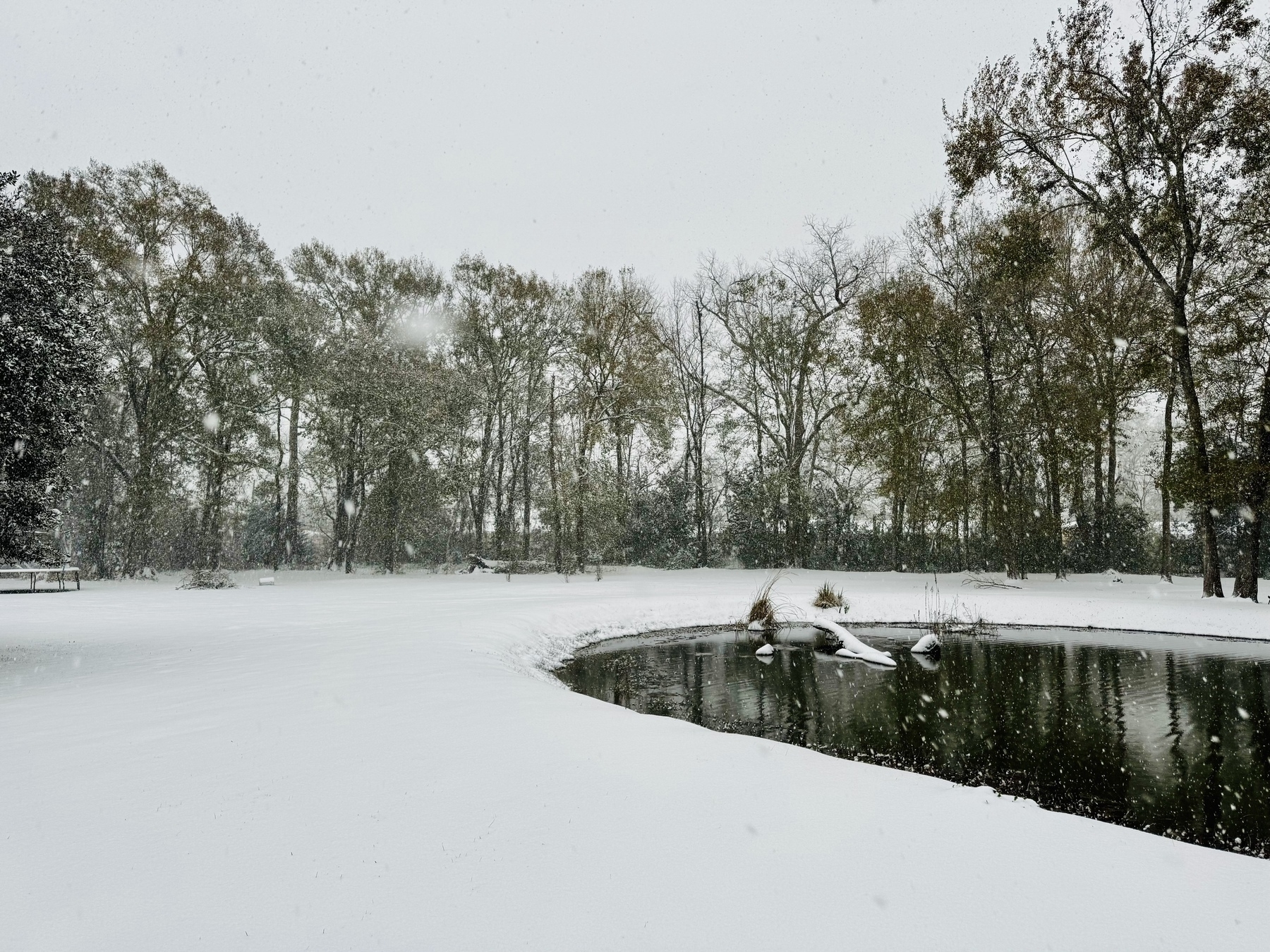 snow and a pond