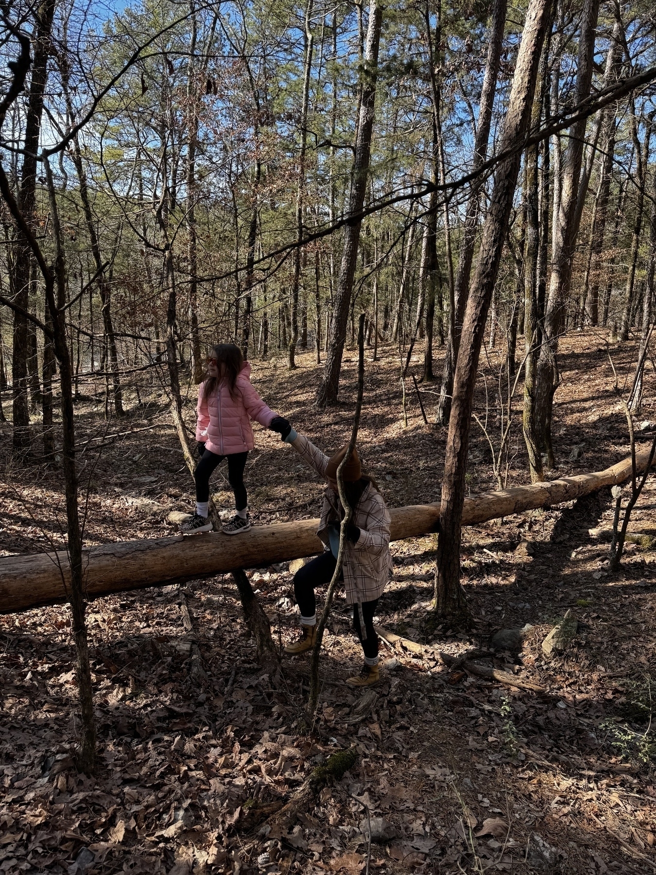 Two people are exploring a forest, balancing on a fallen log surrounded by trees.