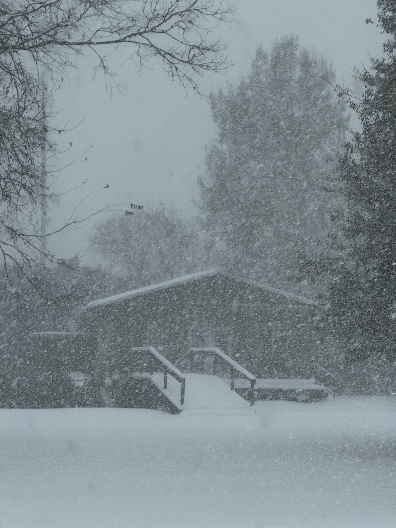 A snow-covered landscape features a building surrounded by trees, with heavy snowfall obscuring details.