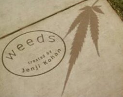 weeds
