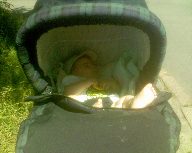 Sover