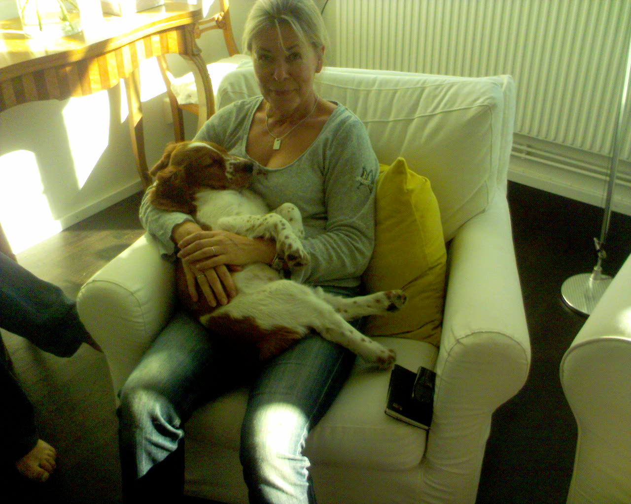 Bosses hund 'Olle'