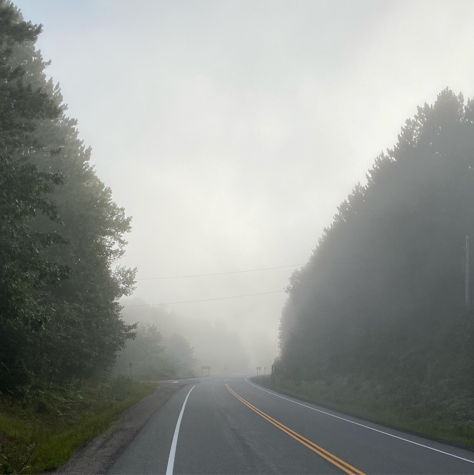 Curved road with morning mist