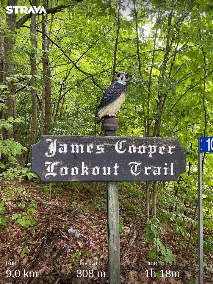 Signpost at the trailhead