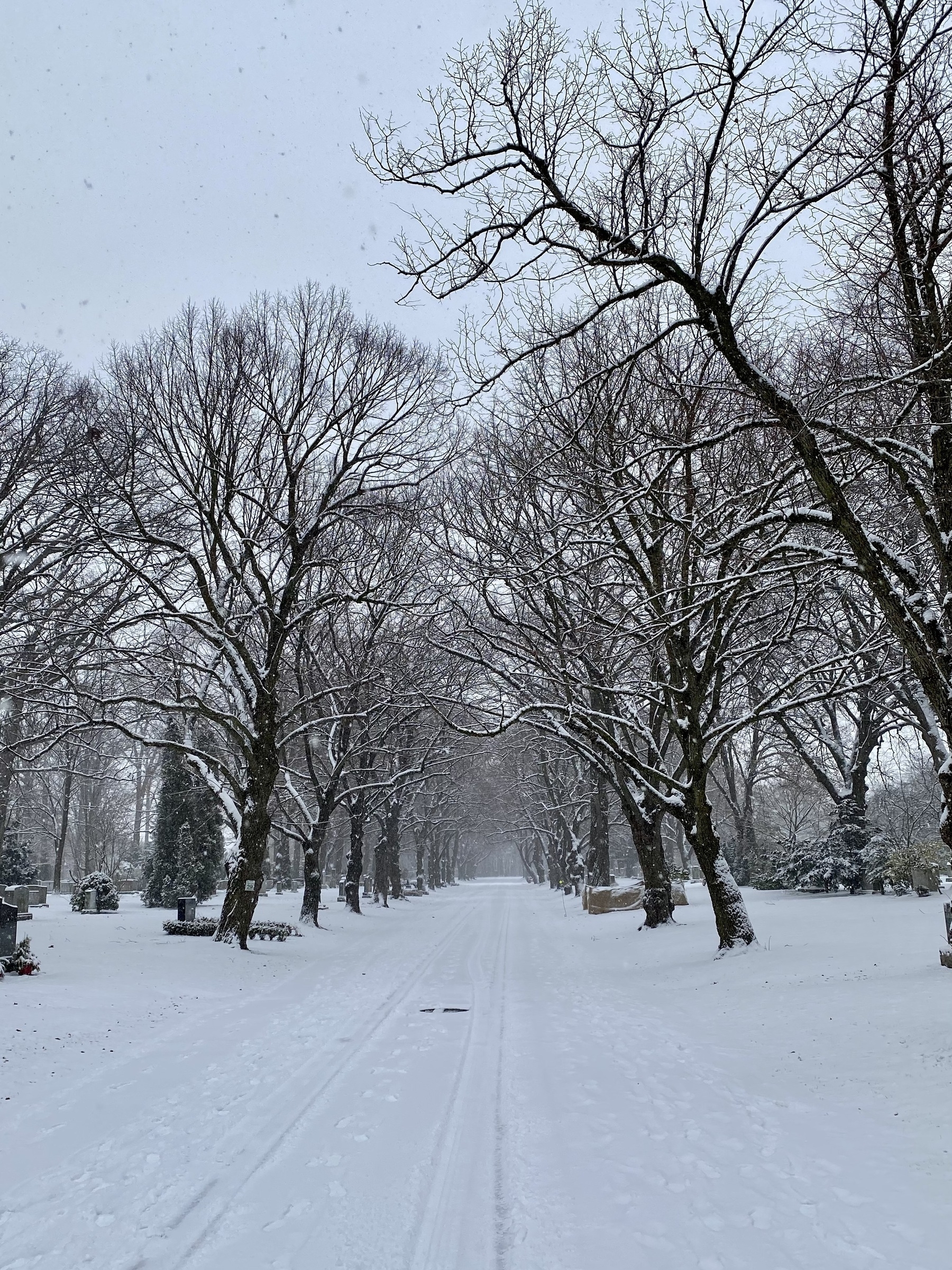 Pathway through a cemetery with trees above and snow on the ground