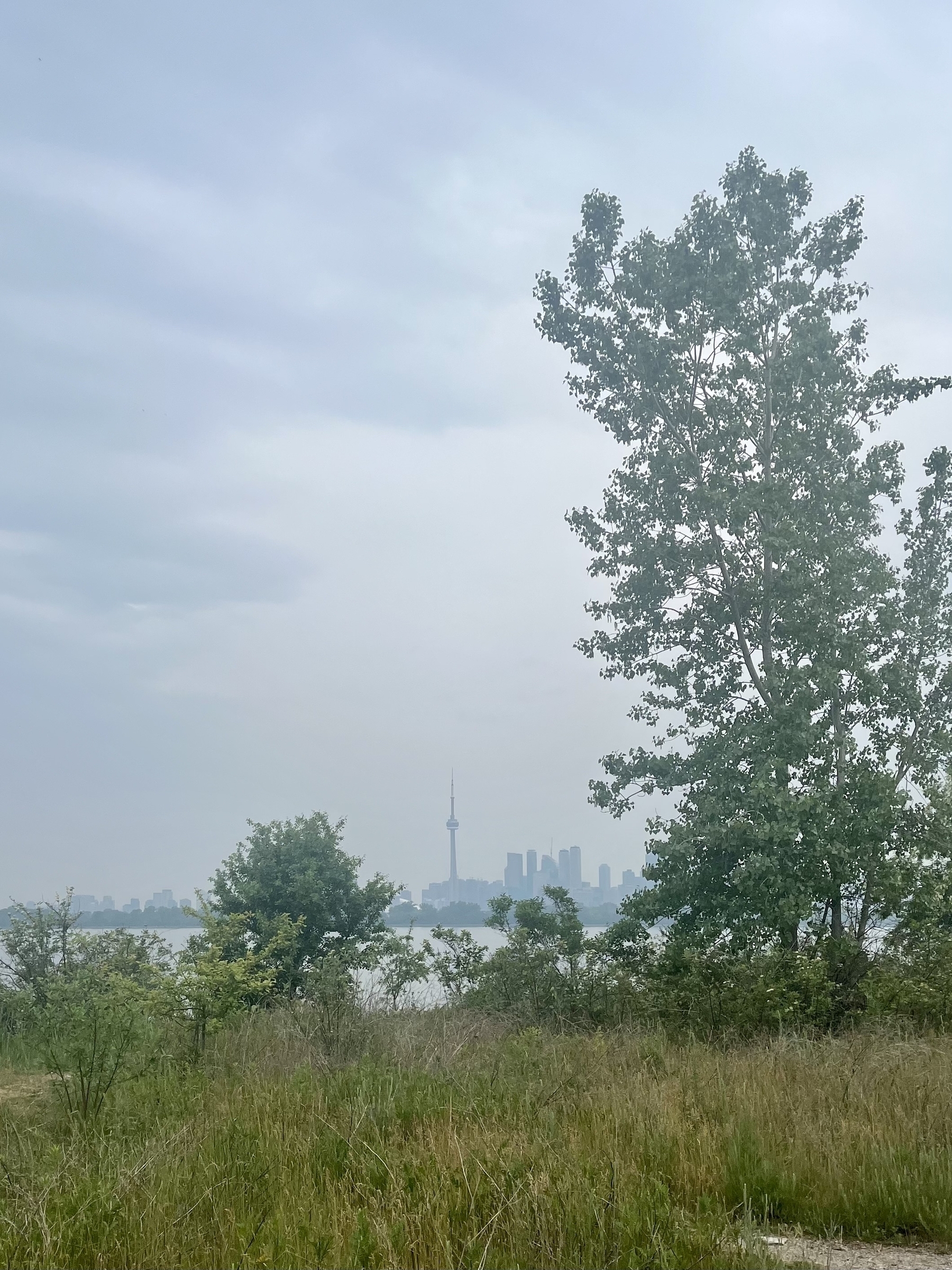 The Toronto skyline behind some trees. Air is a bit hazzy with clouds 