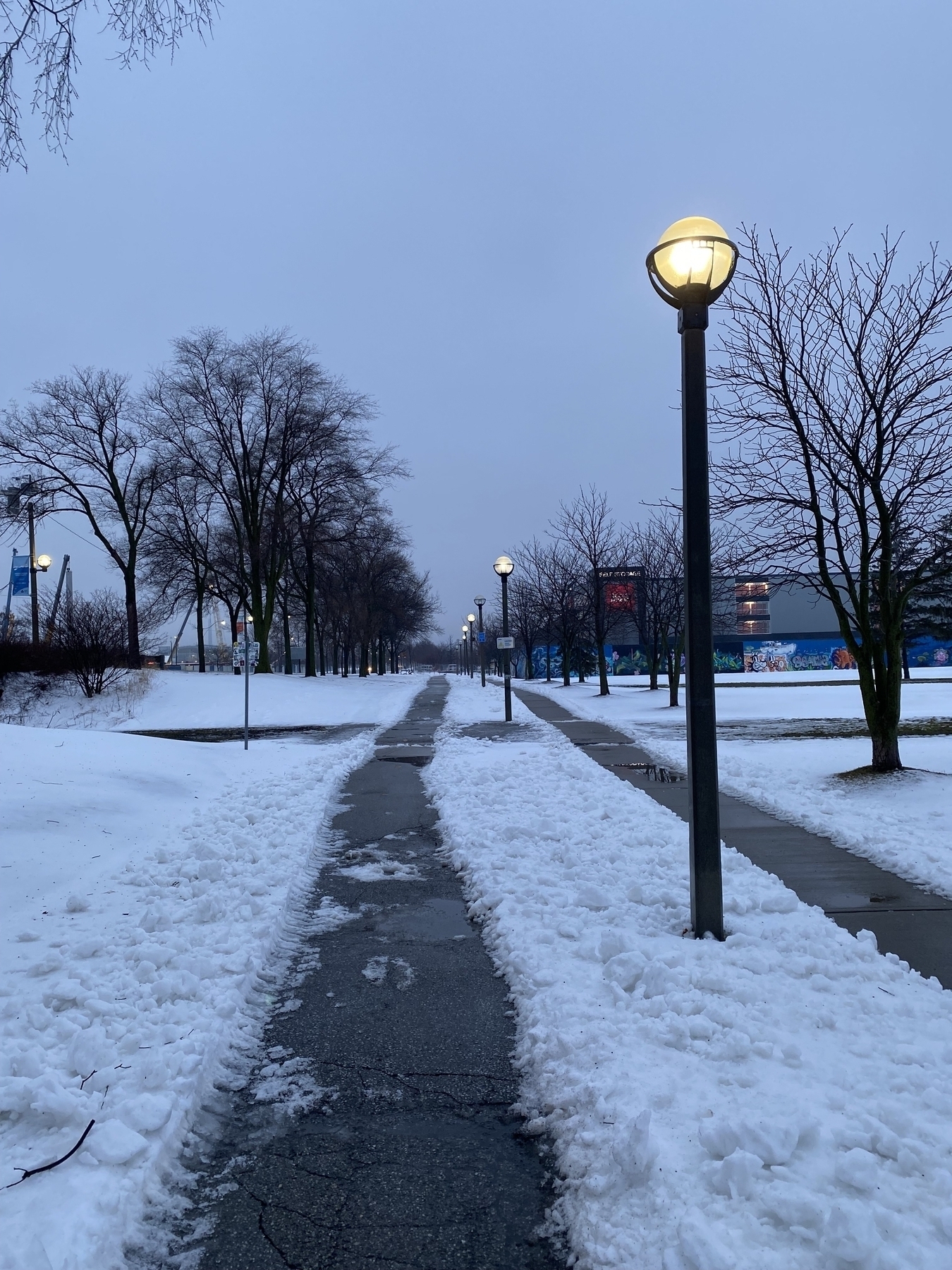 An empty path through the snow with street lights