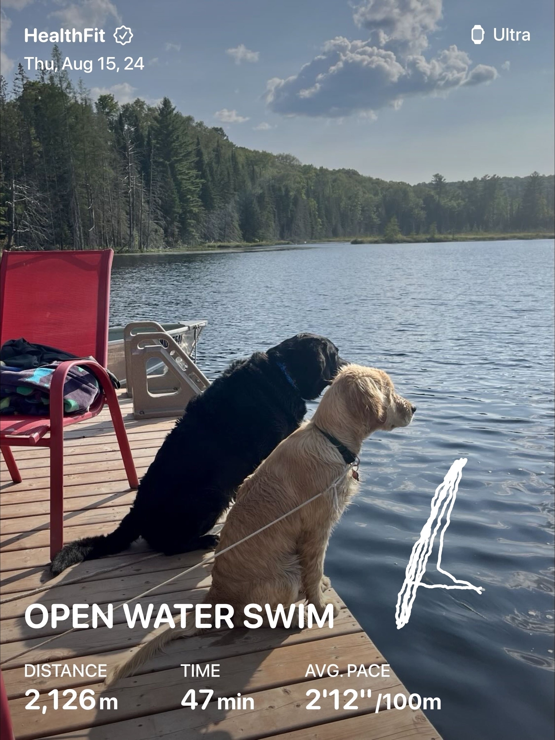 Two dogs sit together on a wooden dock overlooking a lake, with performance metrics overlayed from a fitness app.