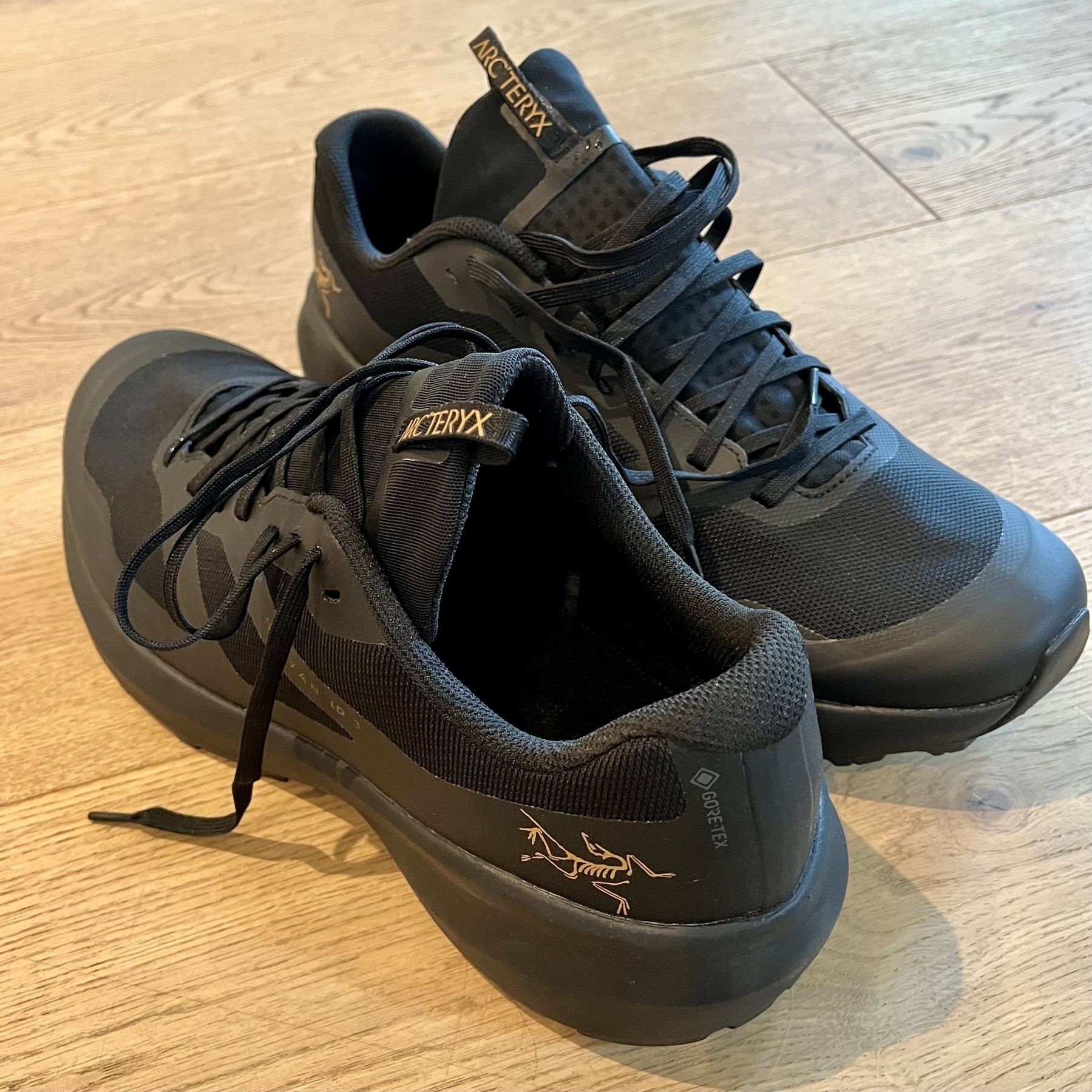 Auto-generated description: A pair of black Arc'teryx sneakers is placed on a wooden floor.