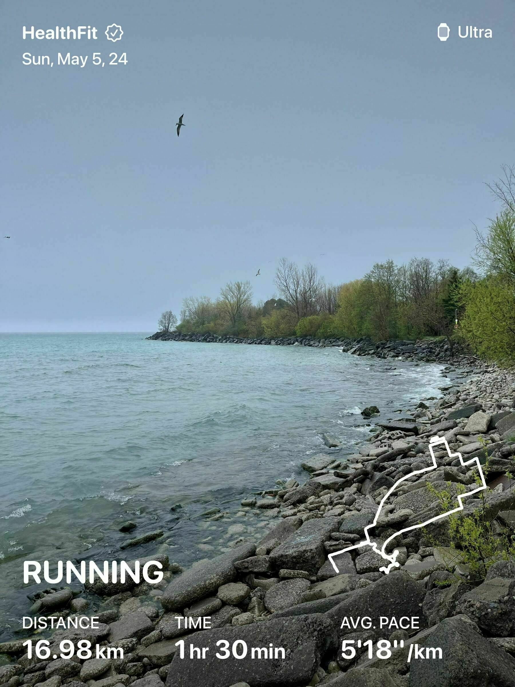 A rocky lakeshore with trees, birds flying, and overlay text from a fitness app about running stats: distance 16.98 km, time 1hr 30 min, pace 5'18km