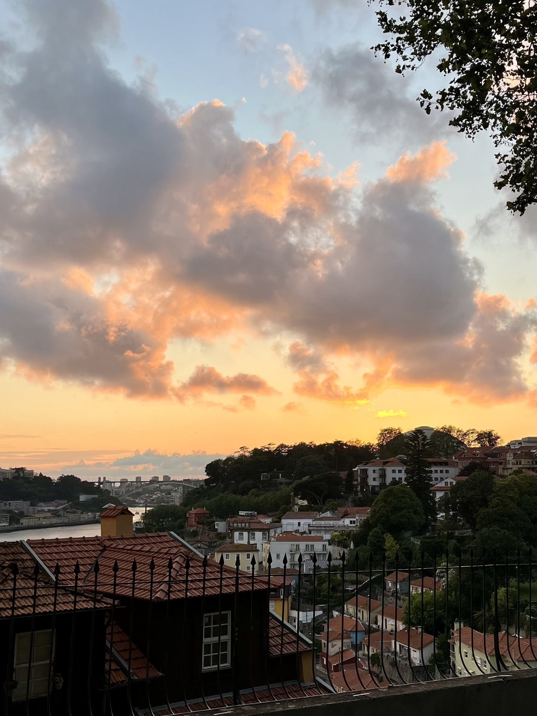 Sunset clouds glow orange above a hillside town with houses and a river in the distance, framed by dark metal railings and tree leaves.