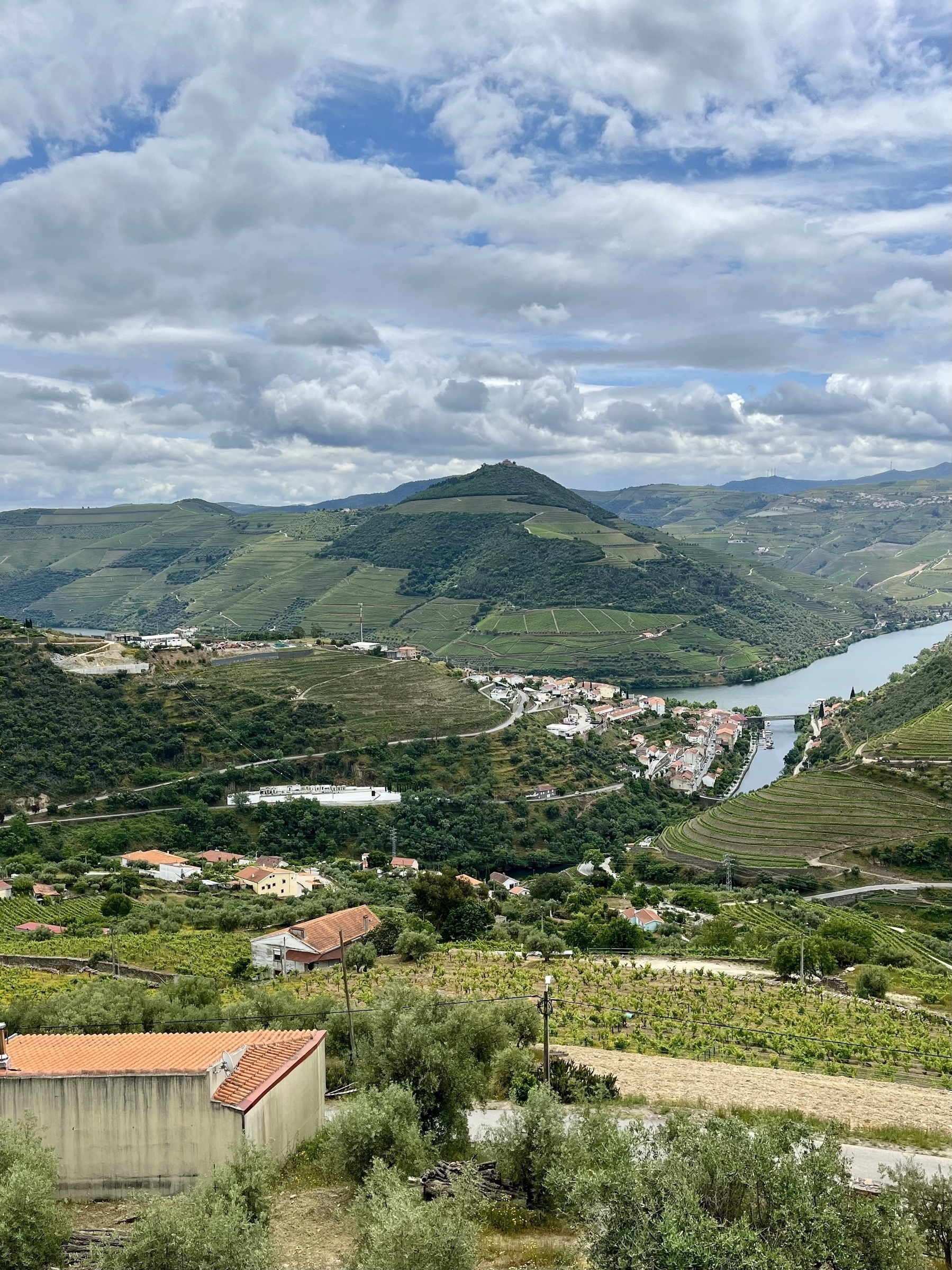 A verdant valley with vineyards and a winding river, with houses scattered throughout, under a cloudy sky.