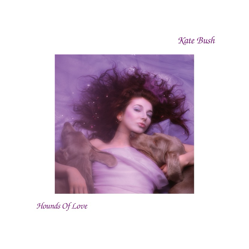 Auto-generated description: A woman with flowing hair is lying on a purple surface, surrounded by two dogs, with the text Kate Bush and Hounds of Love on either side.