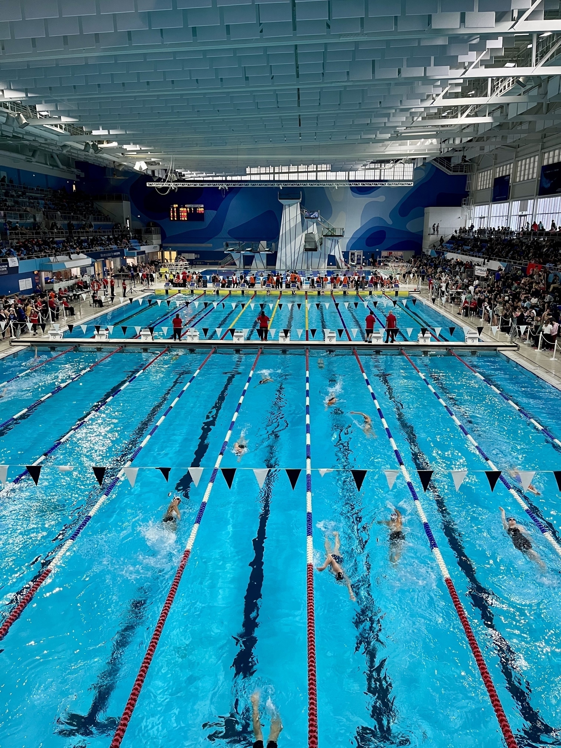 A bustling indoor swimming pool features multiple lanes with swimmers competing as spectators watch from the sides.