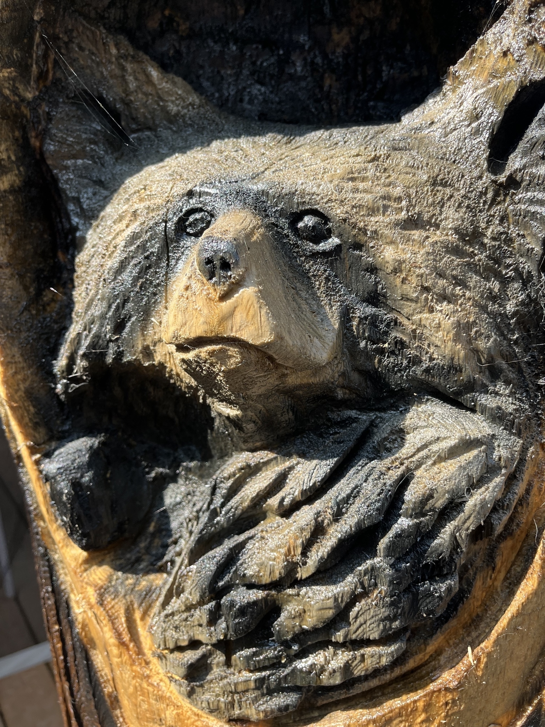 A carved wooden sculpture depicts a bear nestled in a tree trunk.