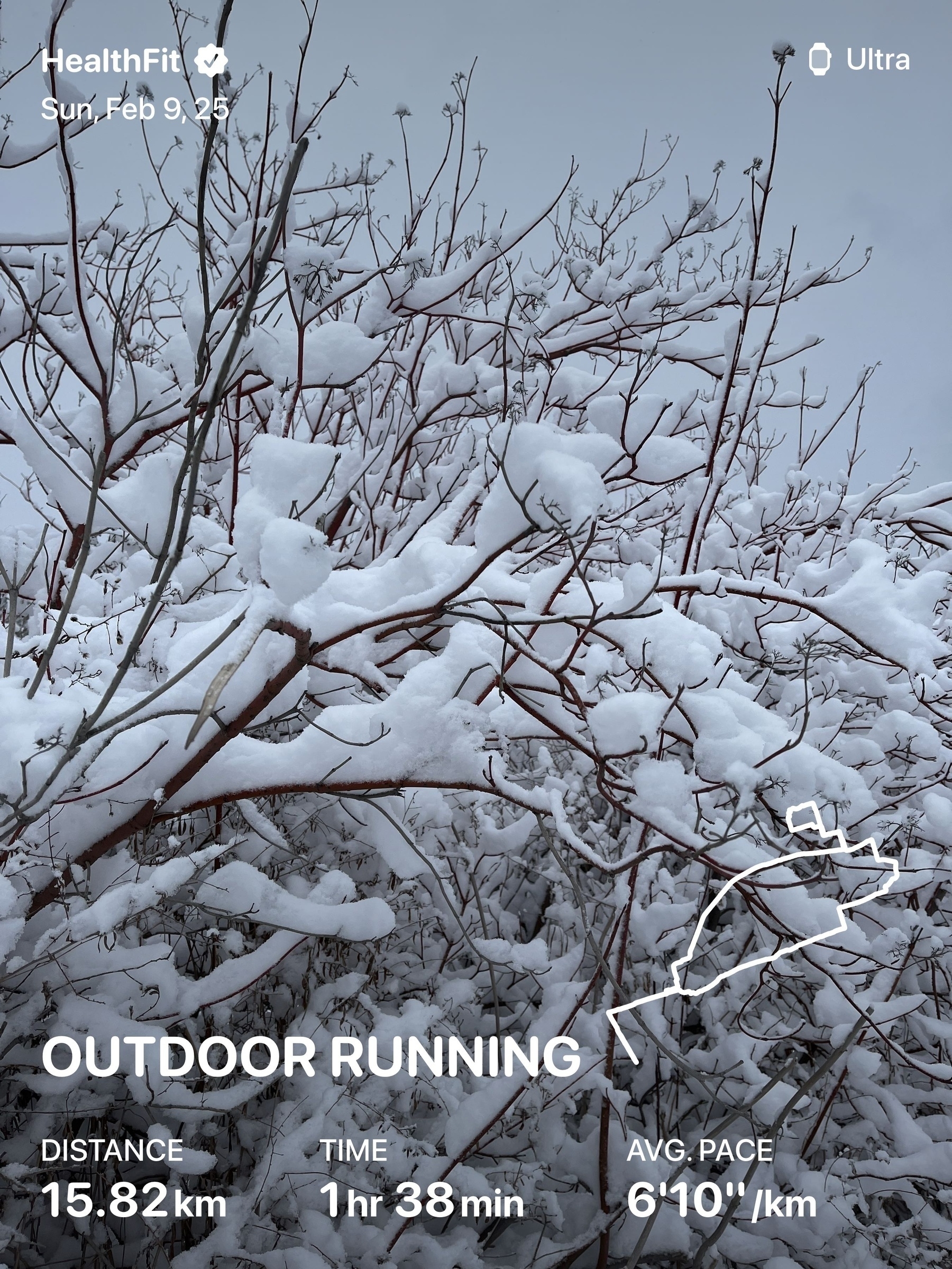 Snow-covered branches are shown with overlay text detailing a running workout: 15.82 km in 1 hour and 38 minutes, with an average pace of 6'10"/km.