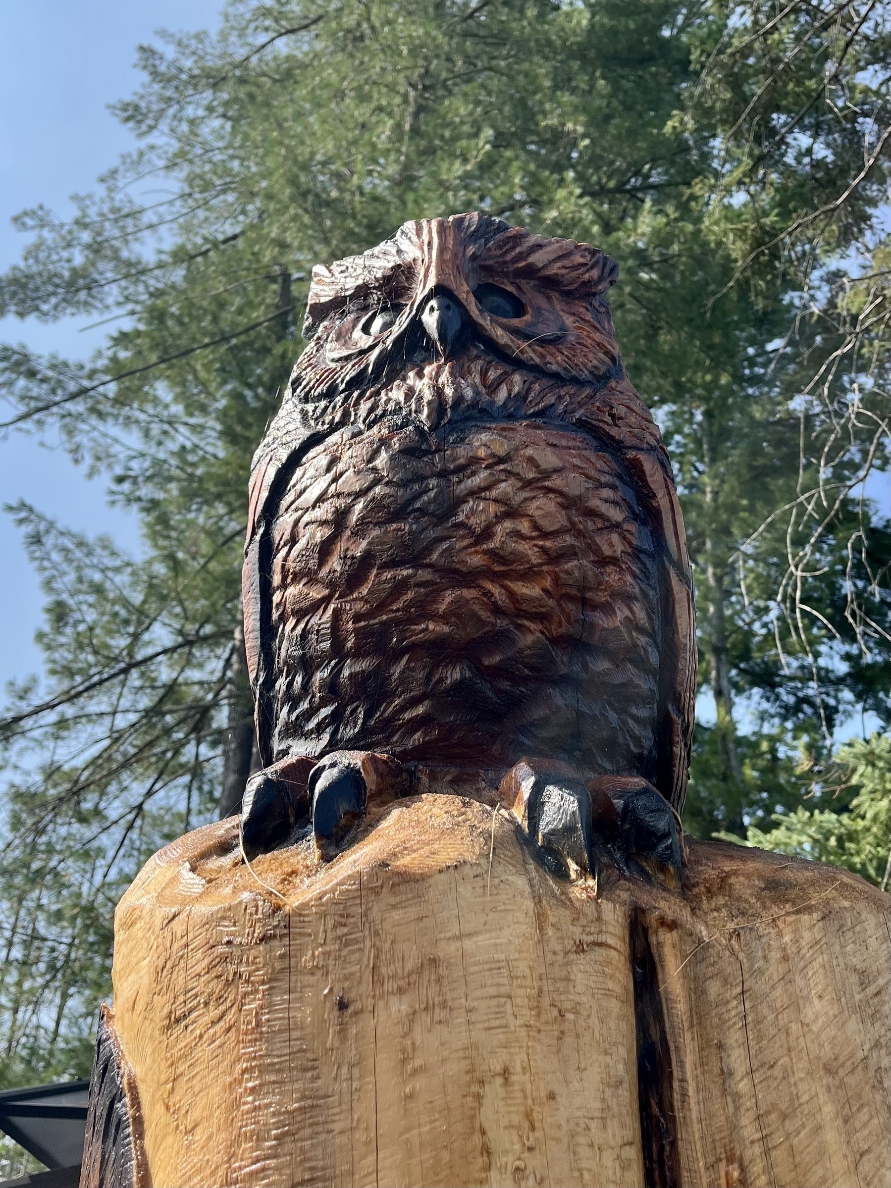 A wooden owl sculpture is perched on a tree stump with a background of green foliage and a clear sky.