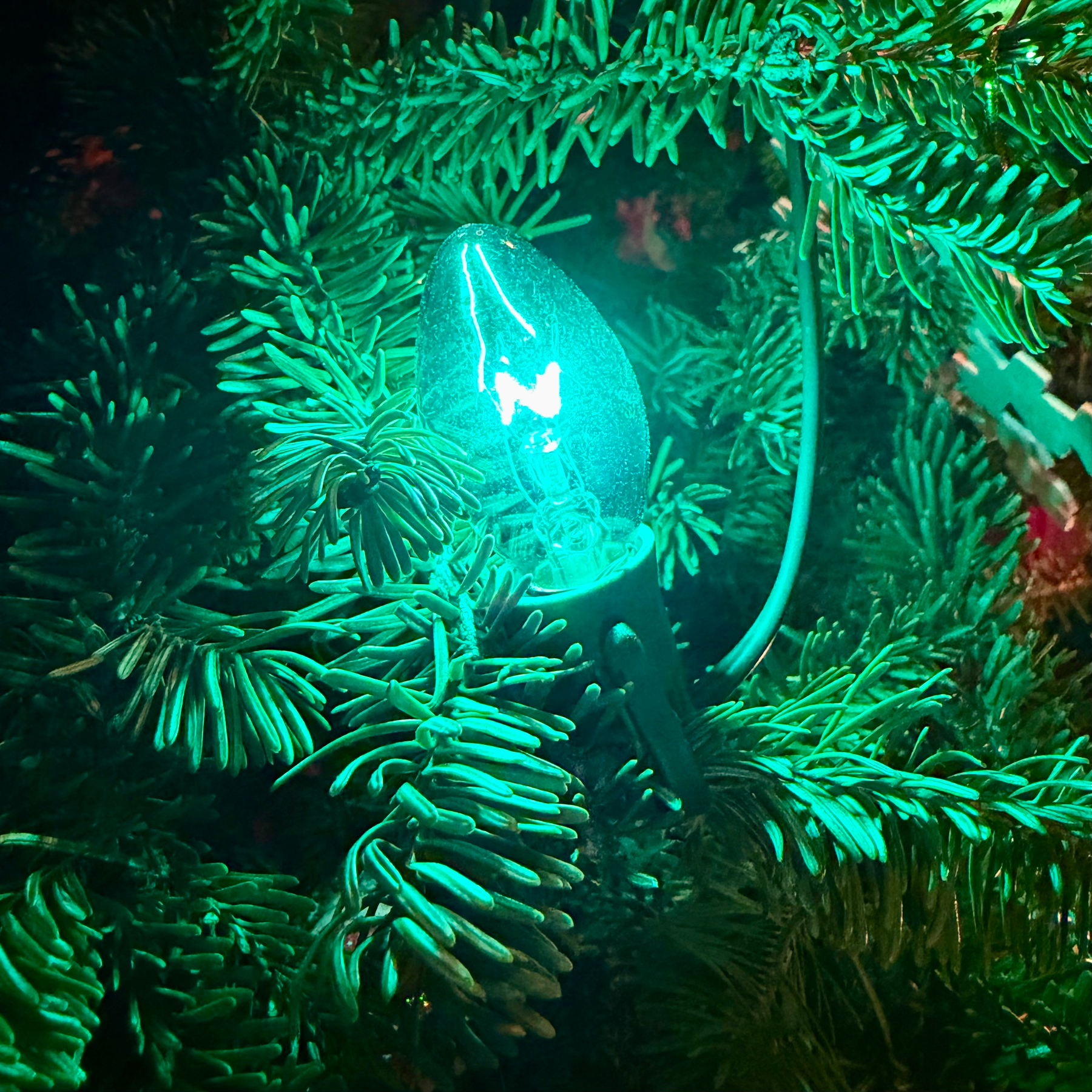 A glowing green Christmas light bulb nestled among the branches of a Christmas tree.