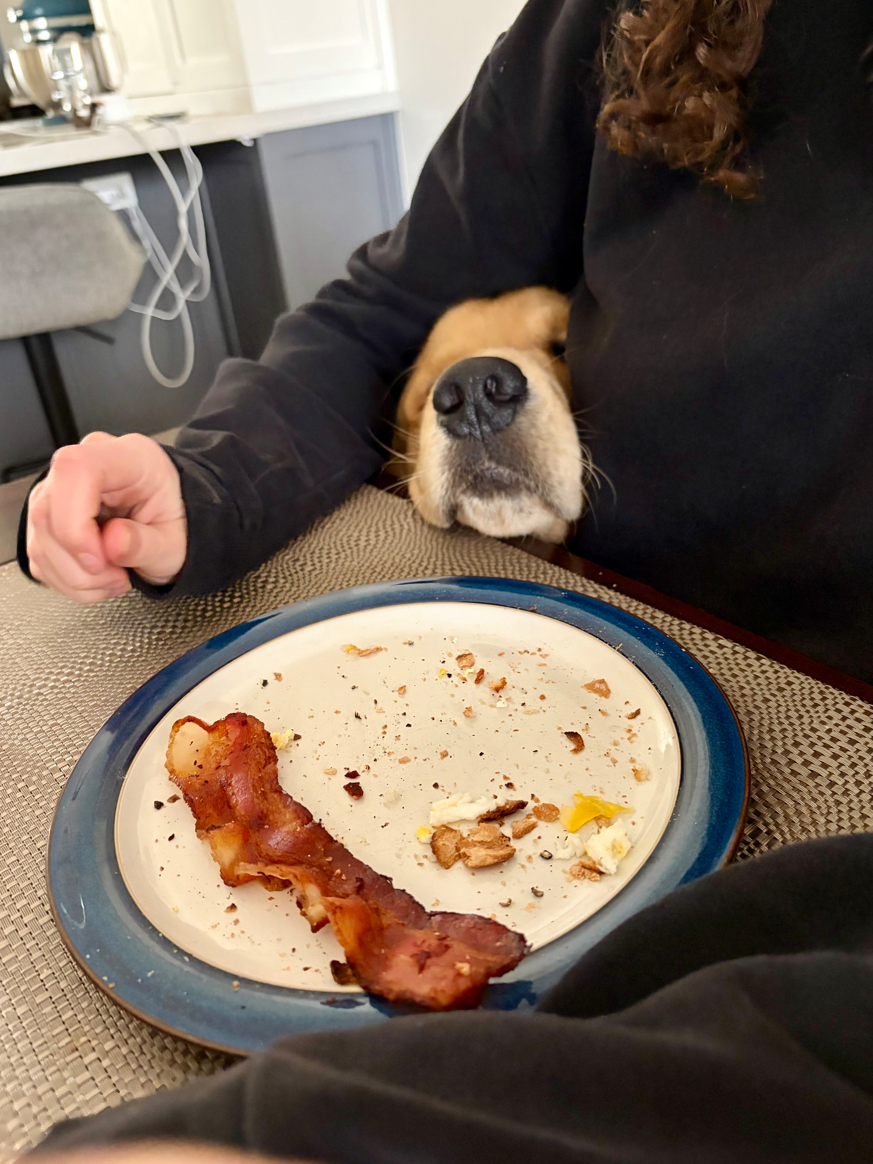 A dog rests its head on someone's lap looking at a plate with bacon and remnants of food.