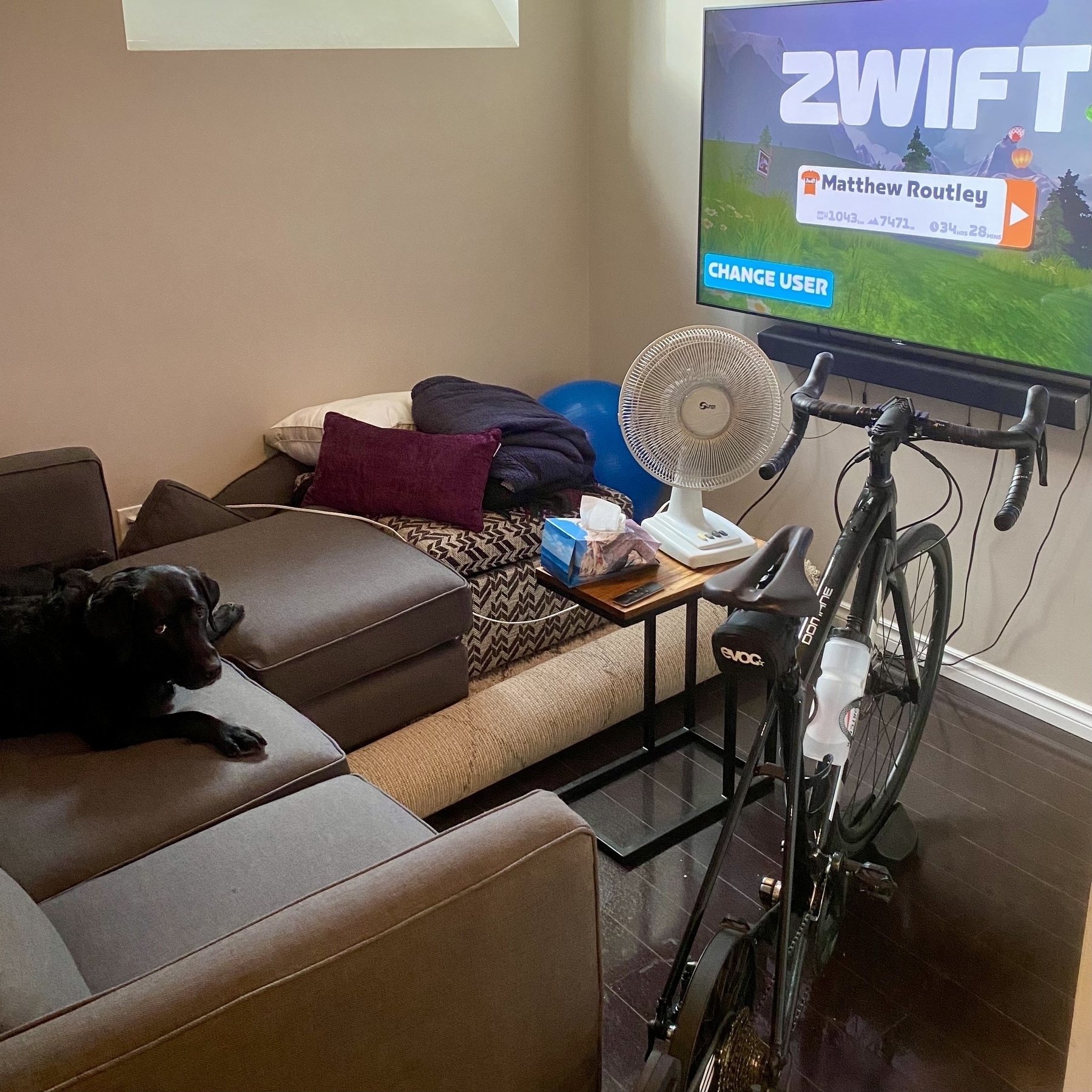 Auto-generated description: A black dog is lying on a couch next to a stationary bicycle, with a Zwift cycling app displayed on a TV.